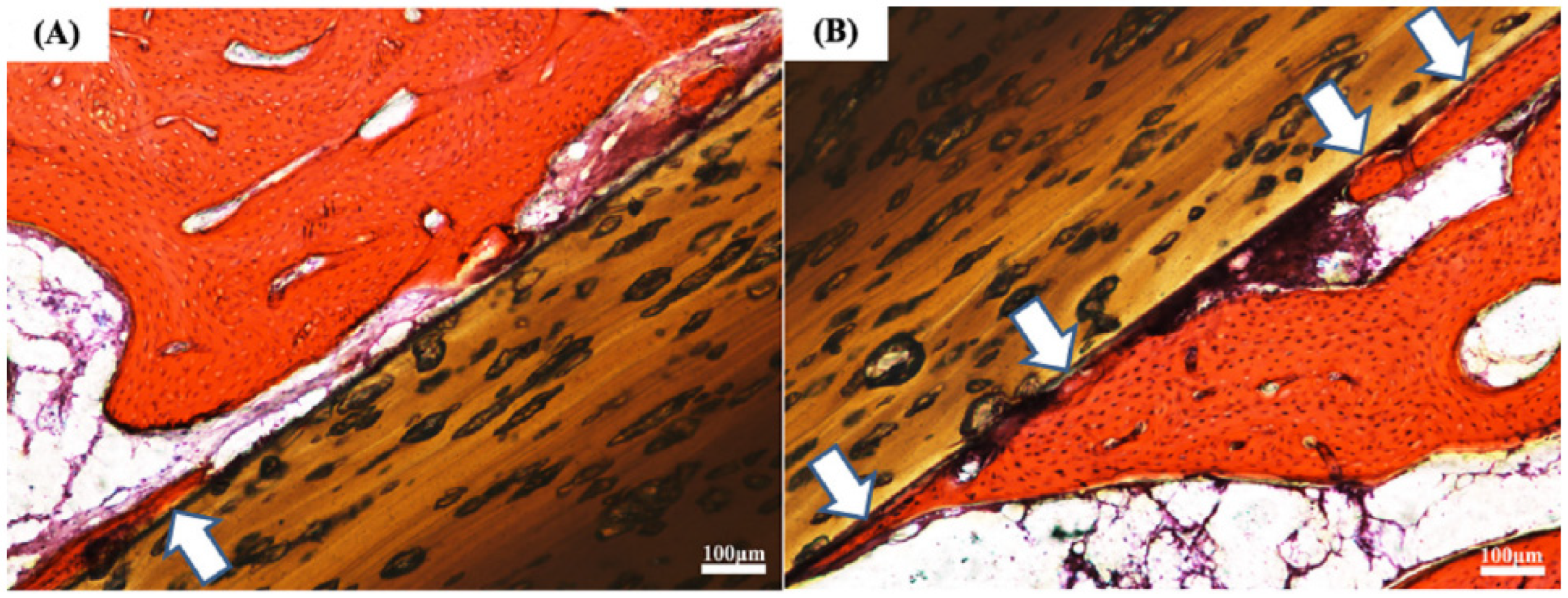 Coatings 13 00977 g007