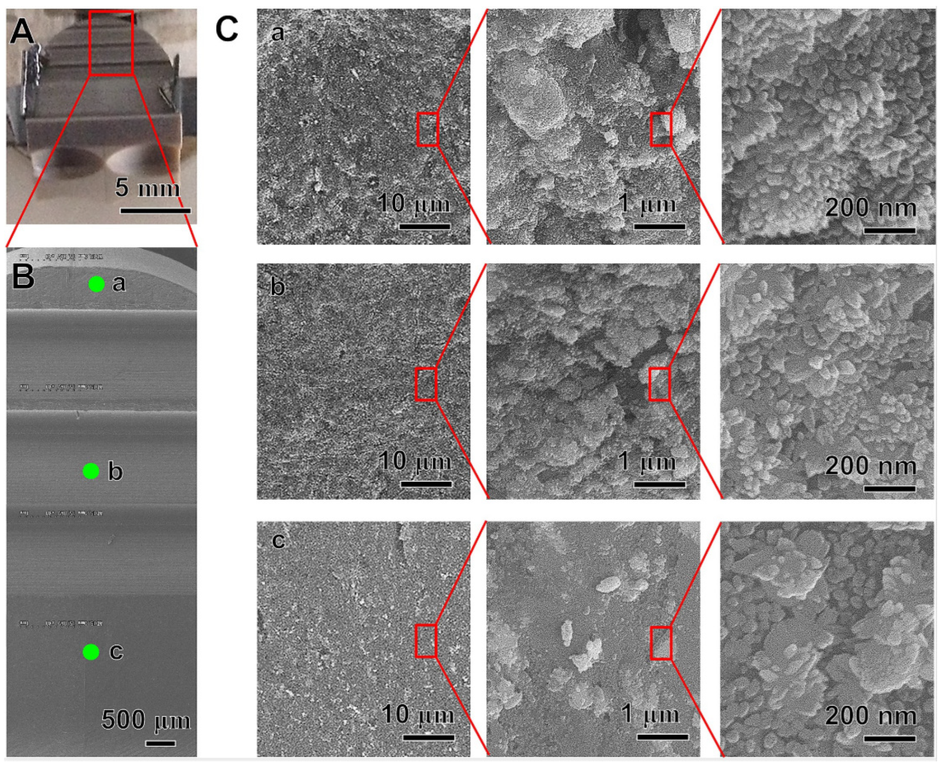 Coatings 13 00977 g009