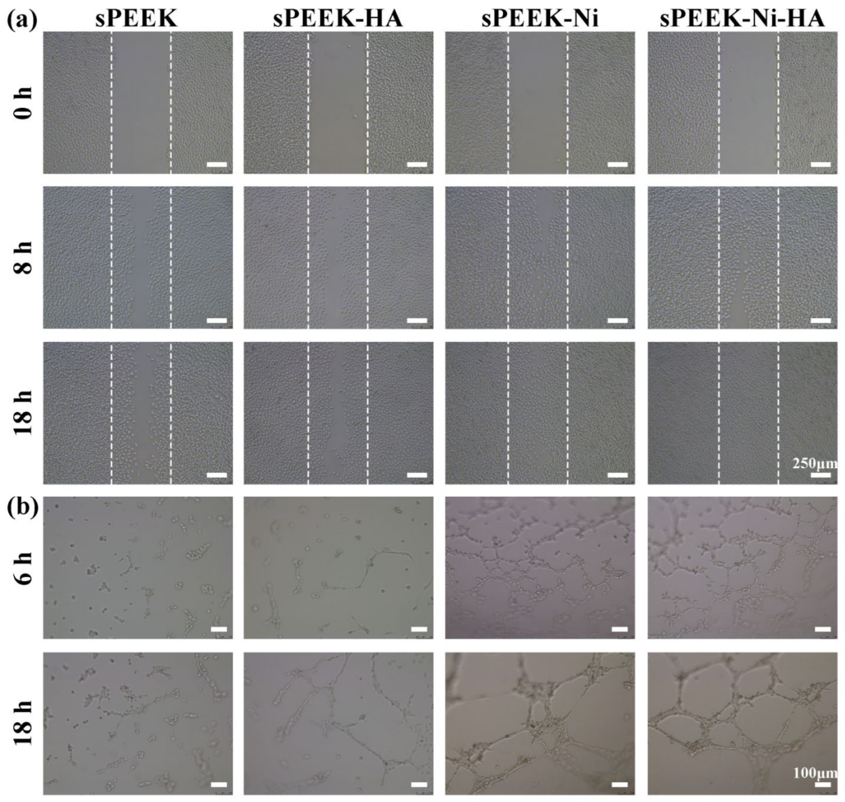 Coatings 13 00977 g010