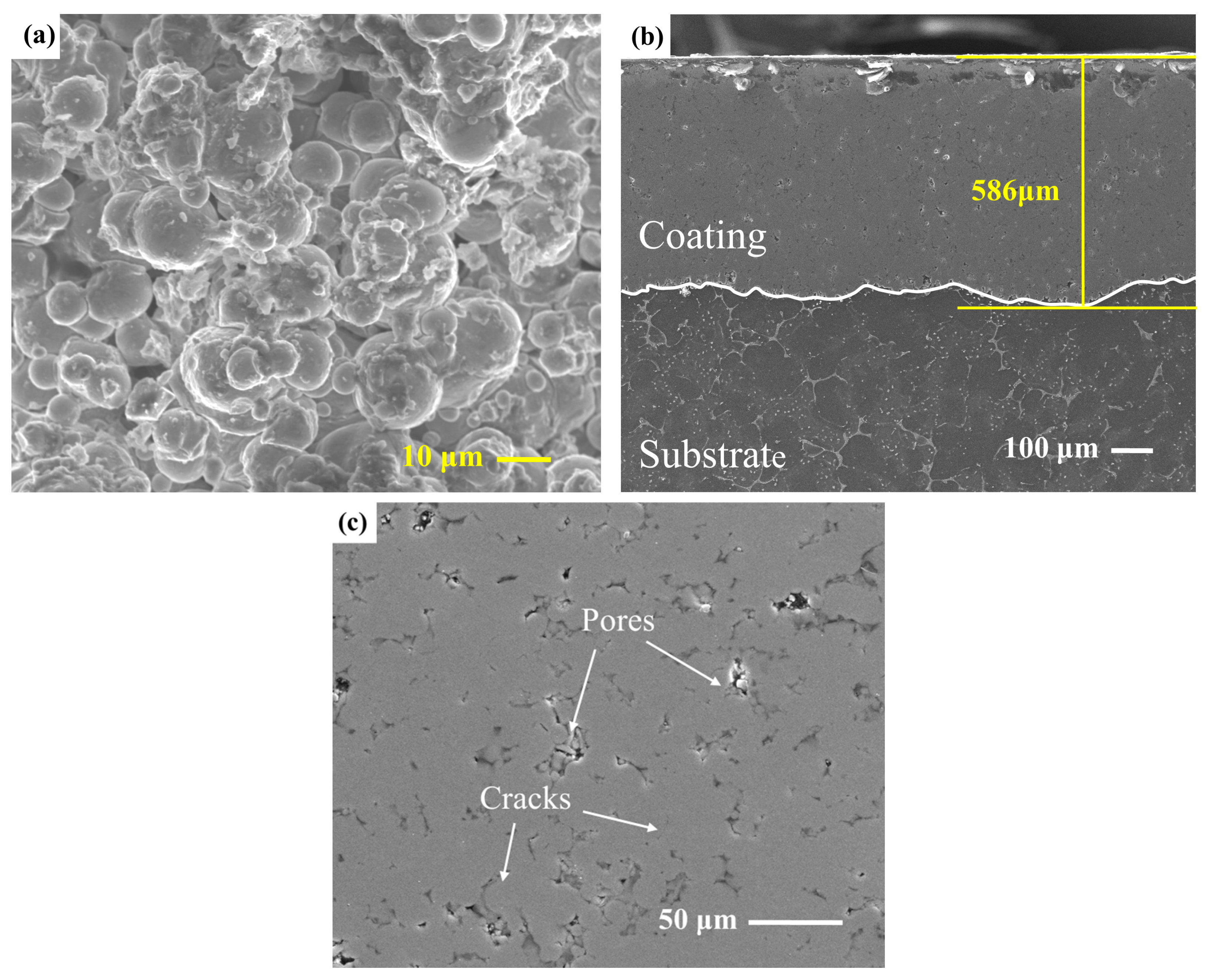 Coatings 13 00988 g002