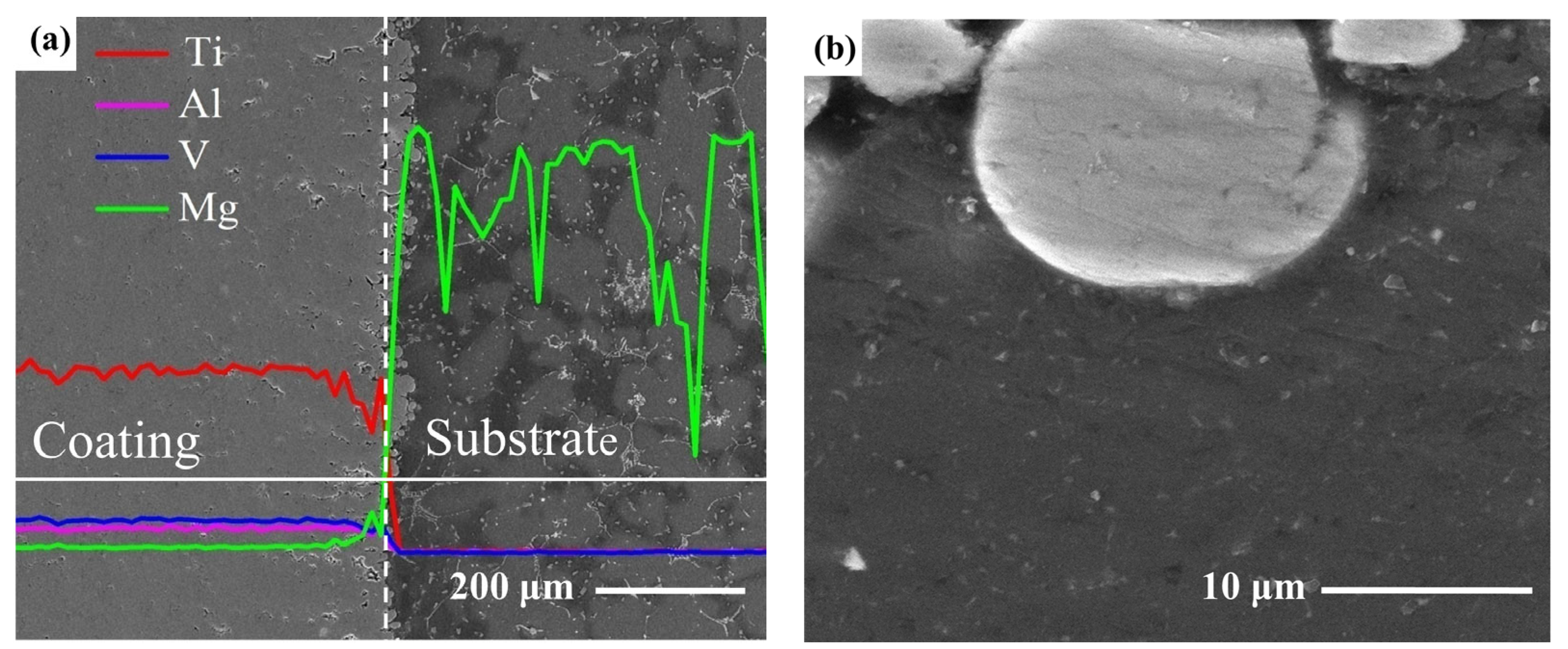 Coatings 13 00988 g003