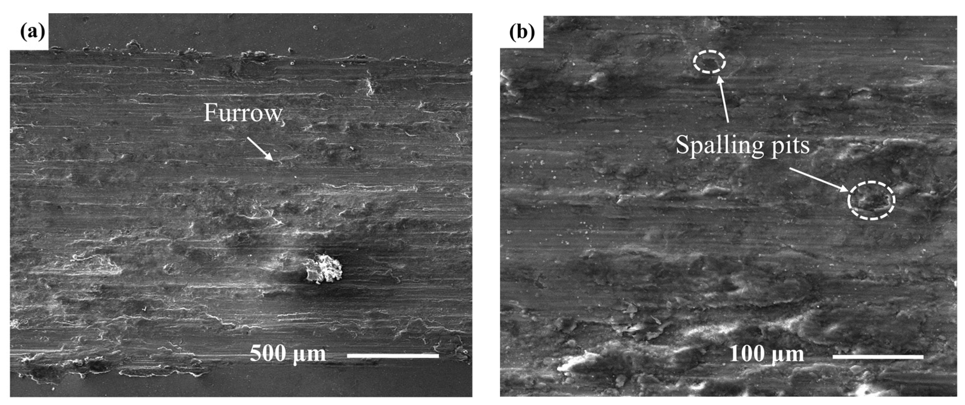 Coatings 13 00988 g008a