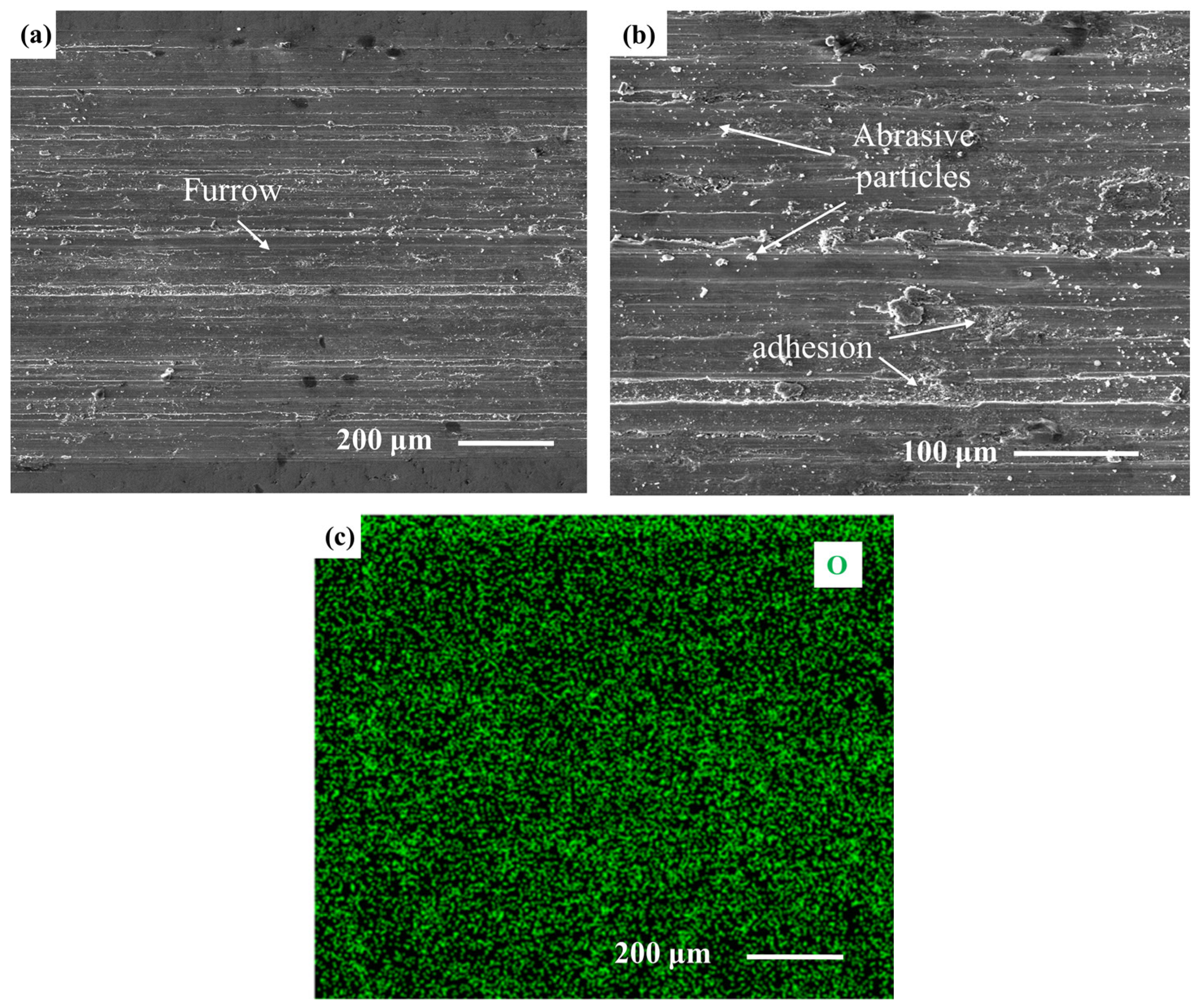 Coatings 13 00988 g009