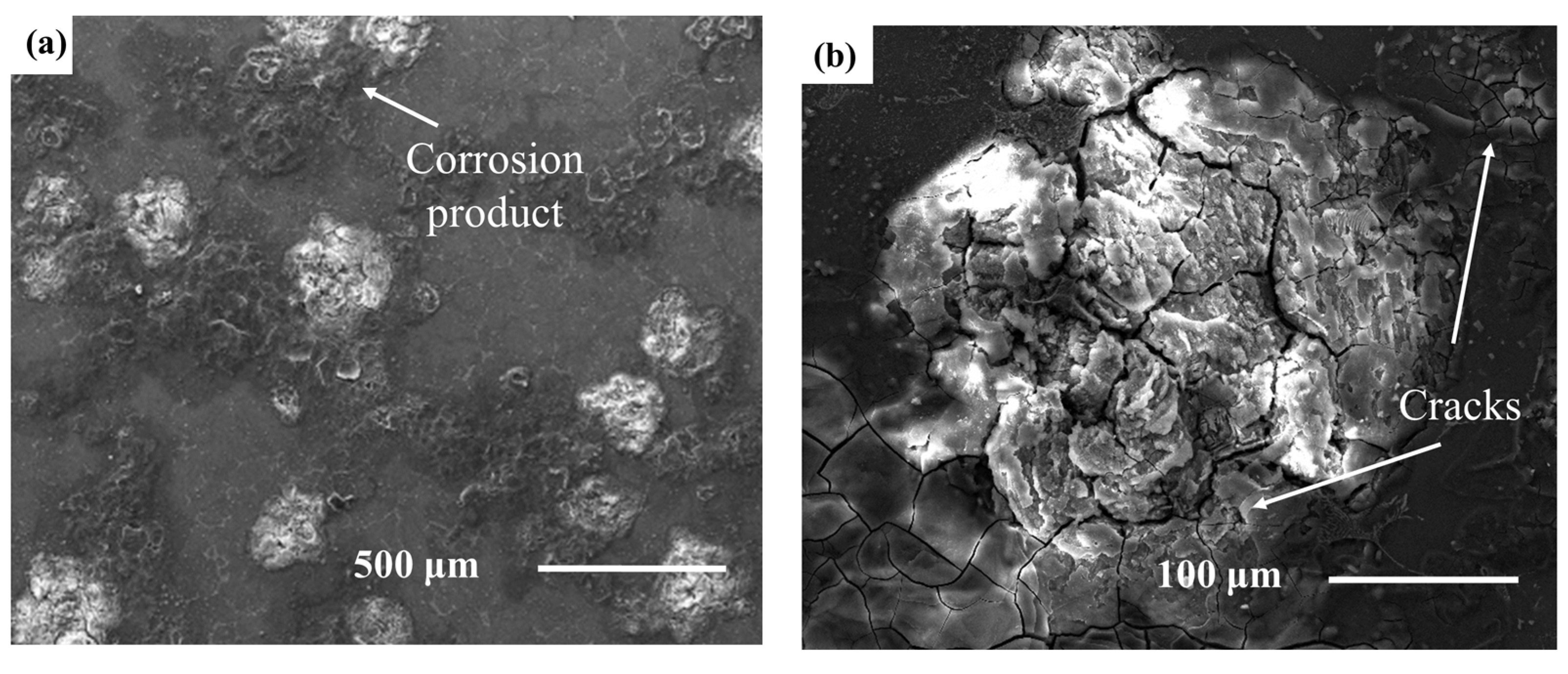 Coatings 13 00988 g012a