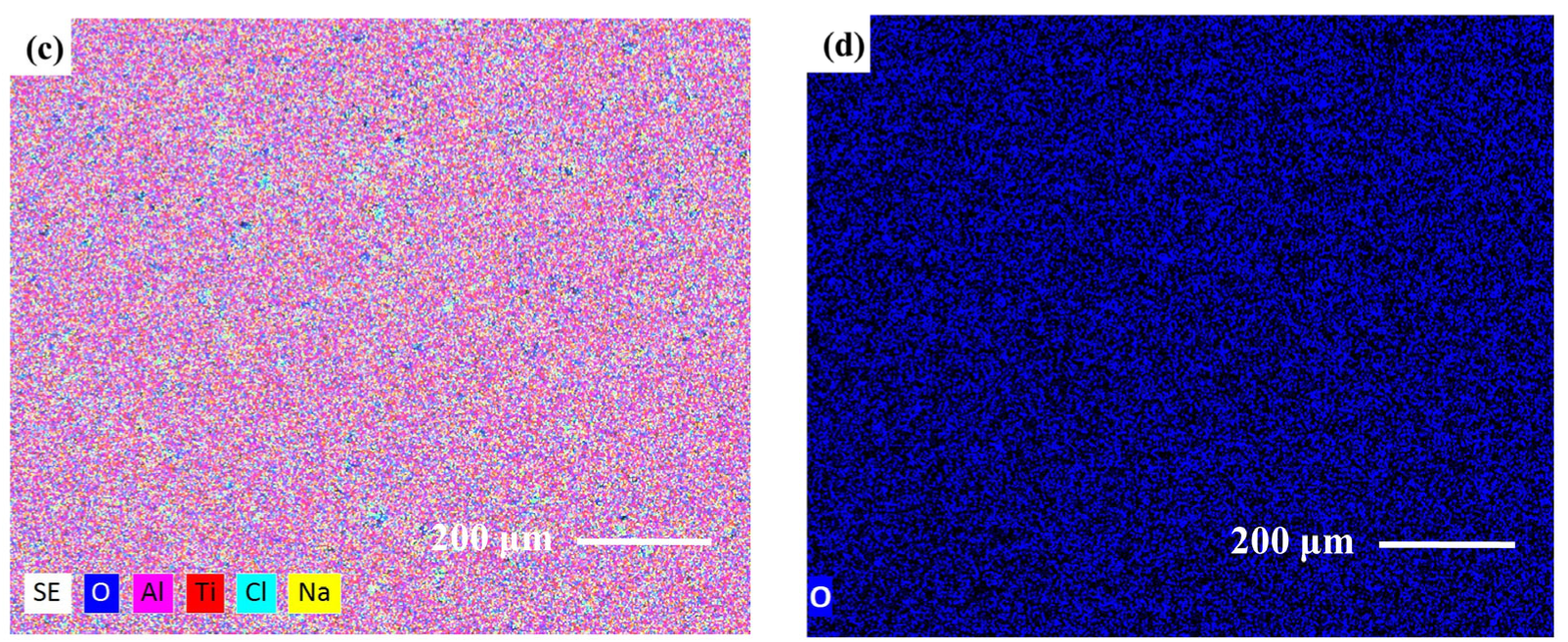 Coatings 13 00988 g013b