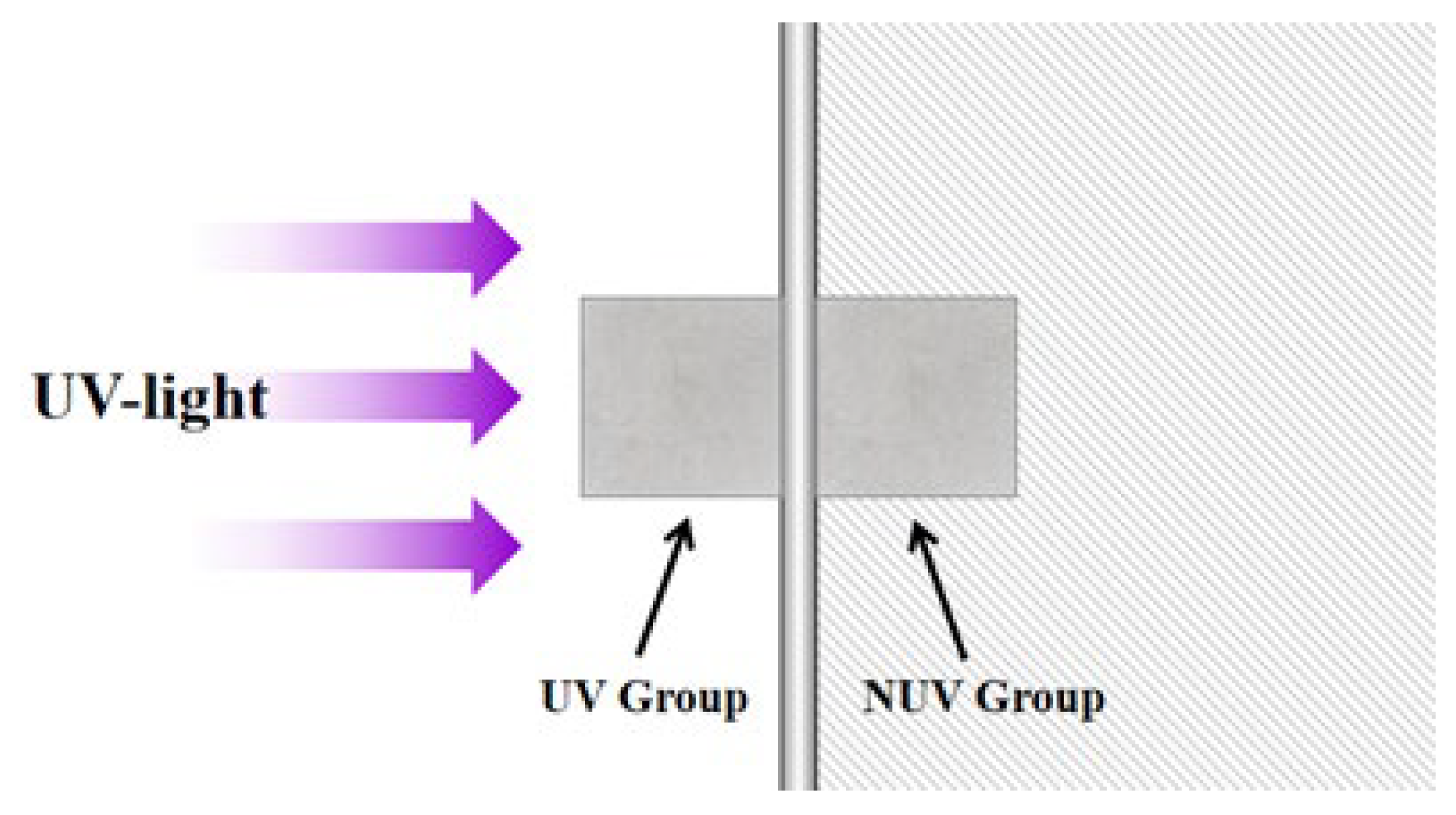 Coatings 13 00994 g004 Coatings 13 00994 g004
