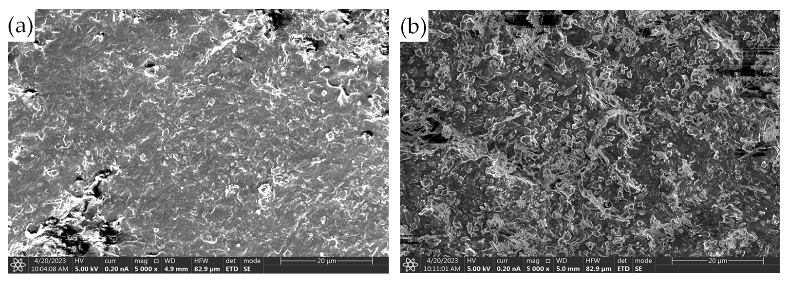 Coatings 13 01008 g010 Coatings 13 01008 g010