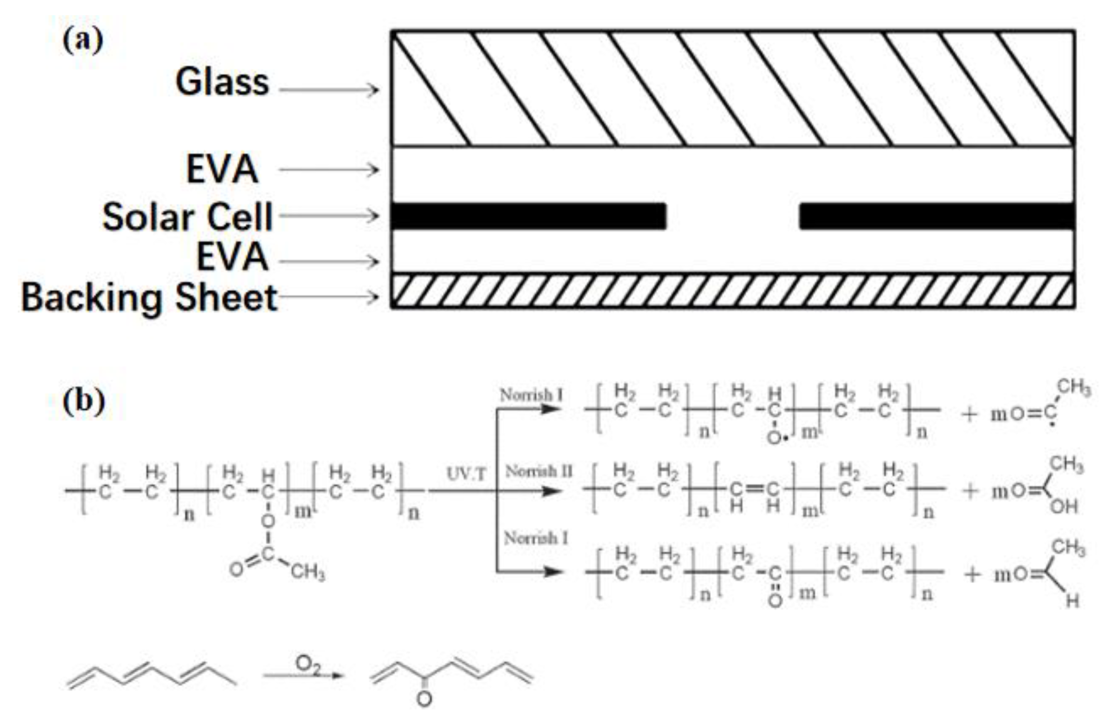 Coatings 13 01009 g002