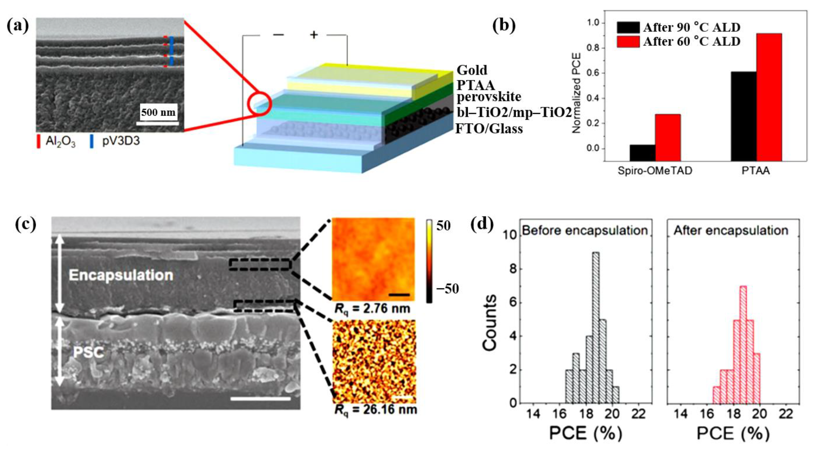 Coatings 13 01009 g004