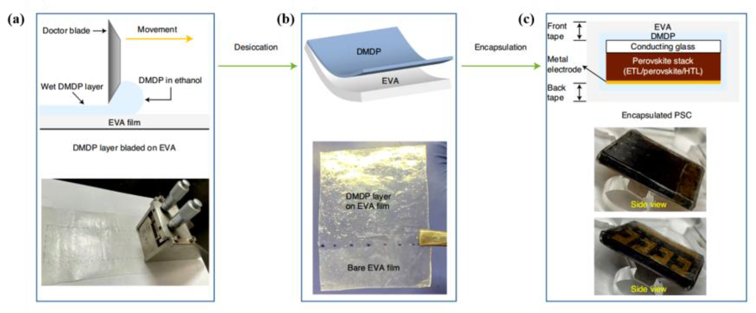 Coatings 13 01009 g006