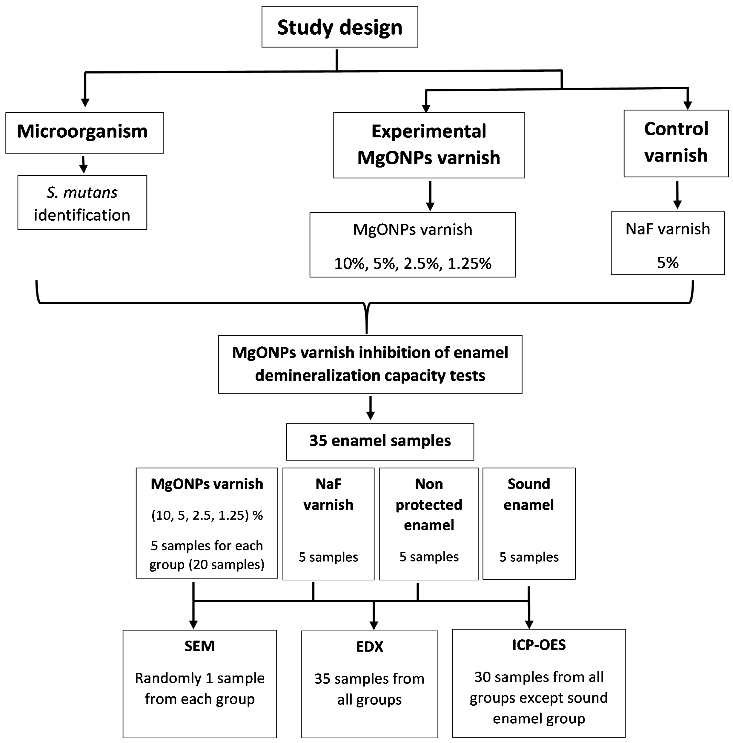 Coatings 13 01018 g001