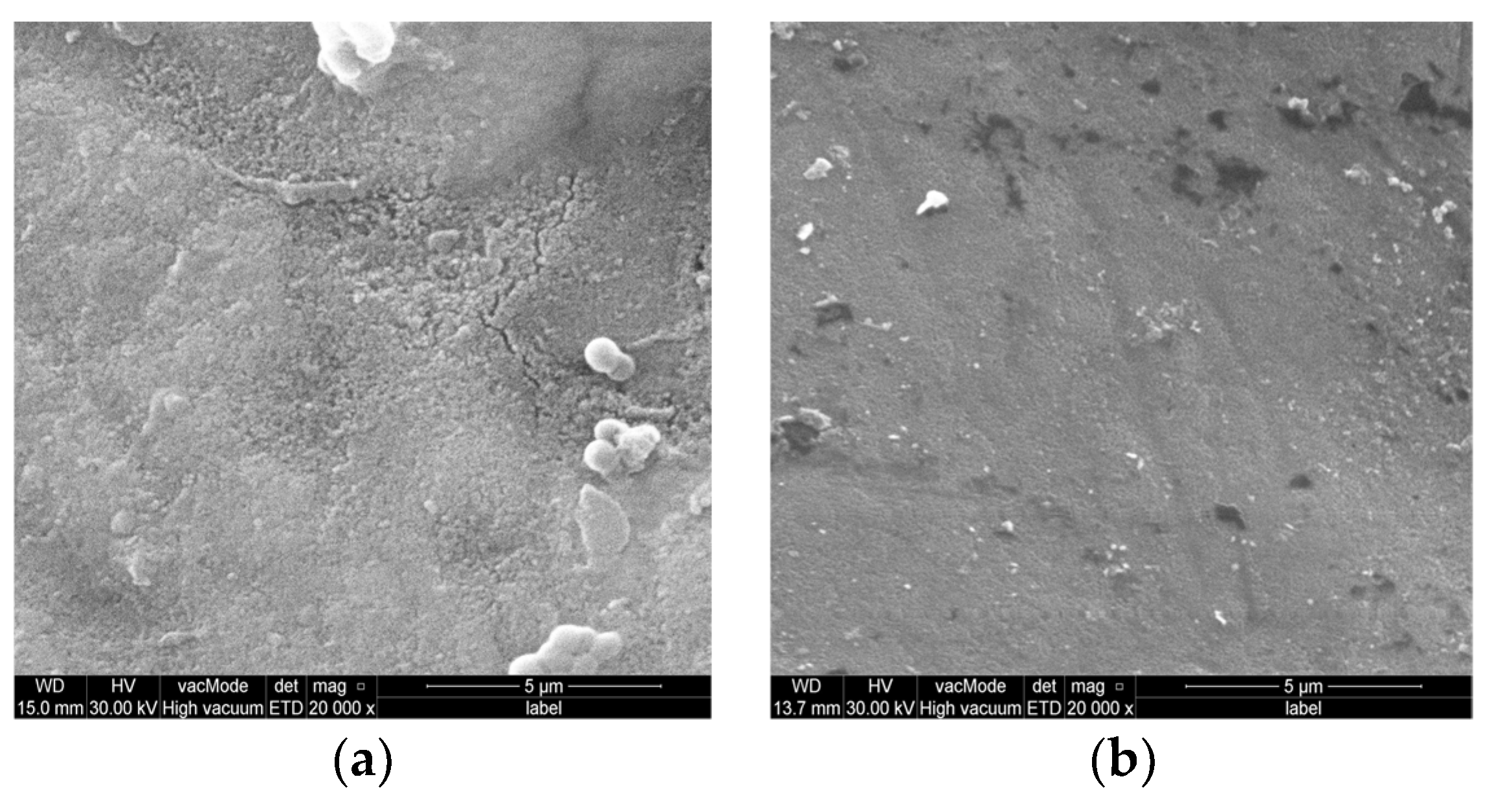 Coatings 13 01018 g004a