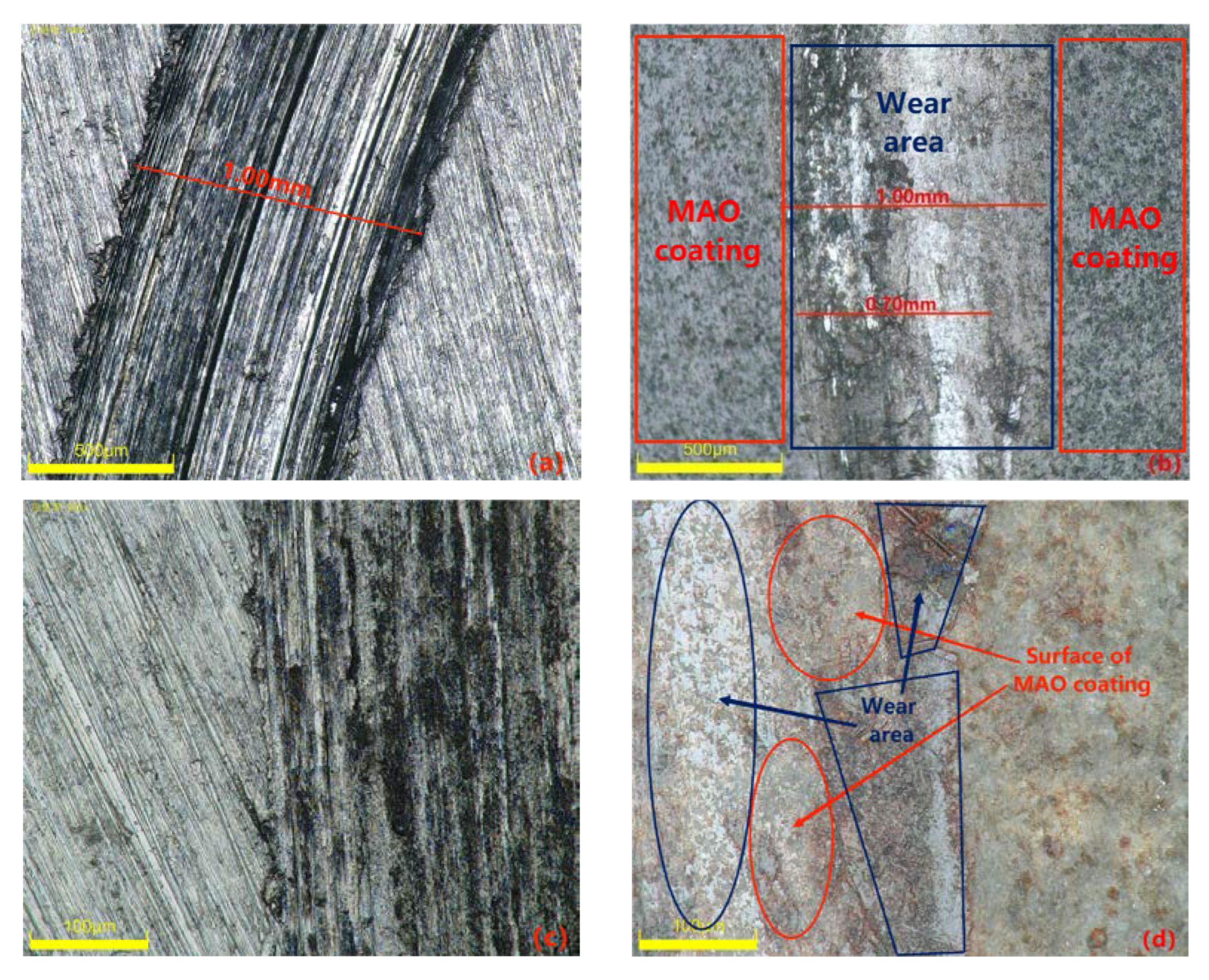 Coatings 13 01024 g011 Coatings 13 01024 g011