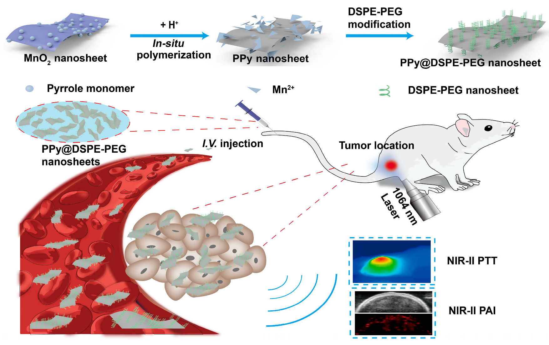 Coatings 13 01037 g001