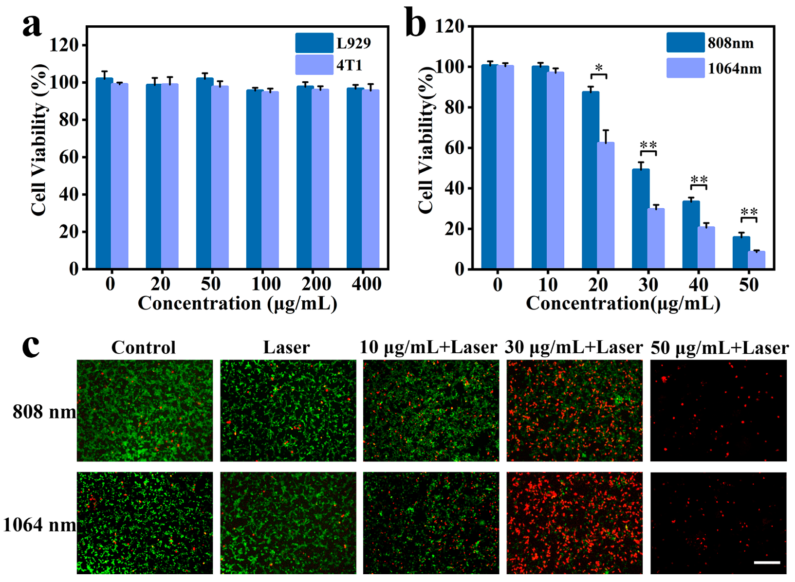 Coatings 13 01037 g004