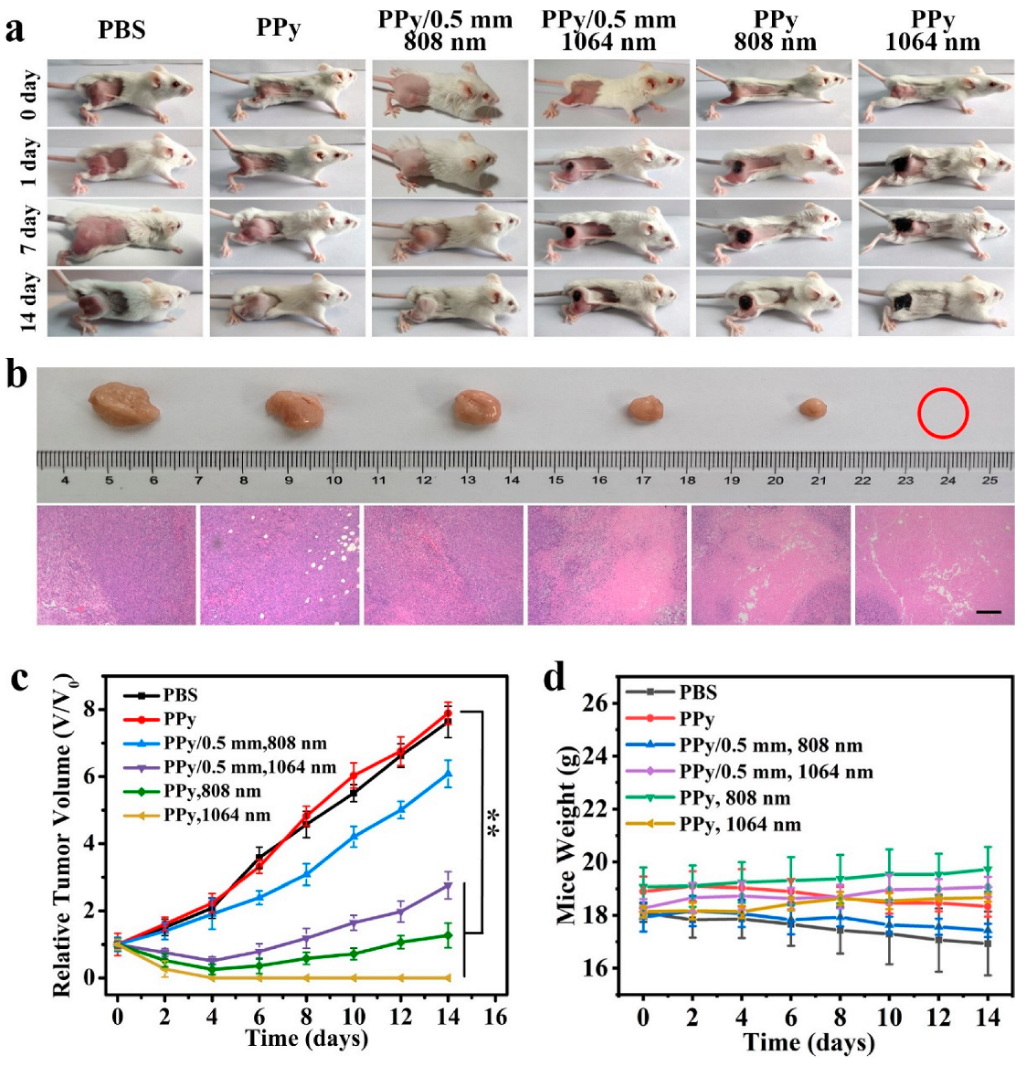 Coatings 13 01037 g006