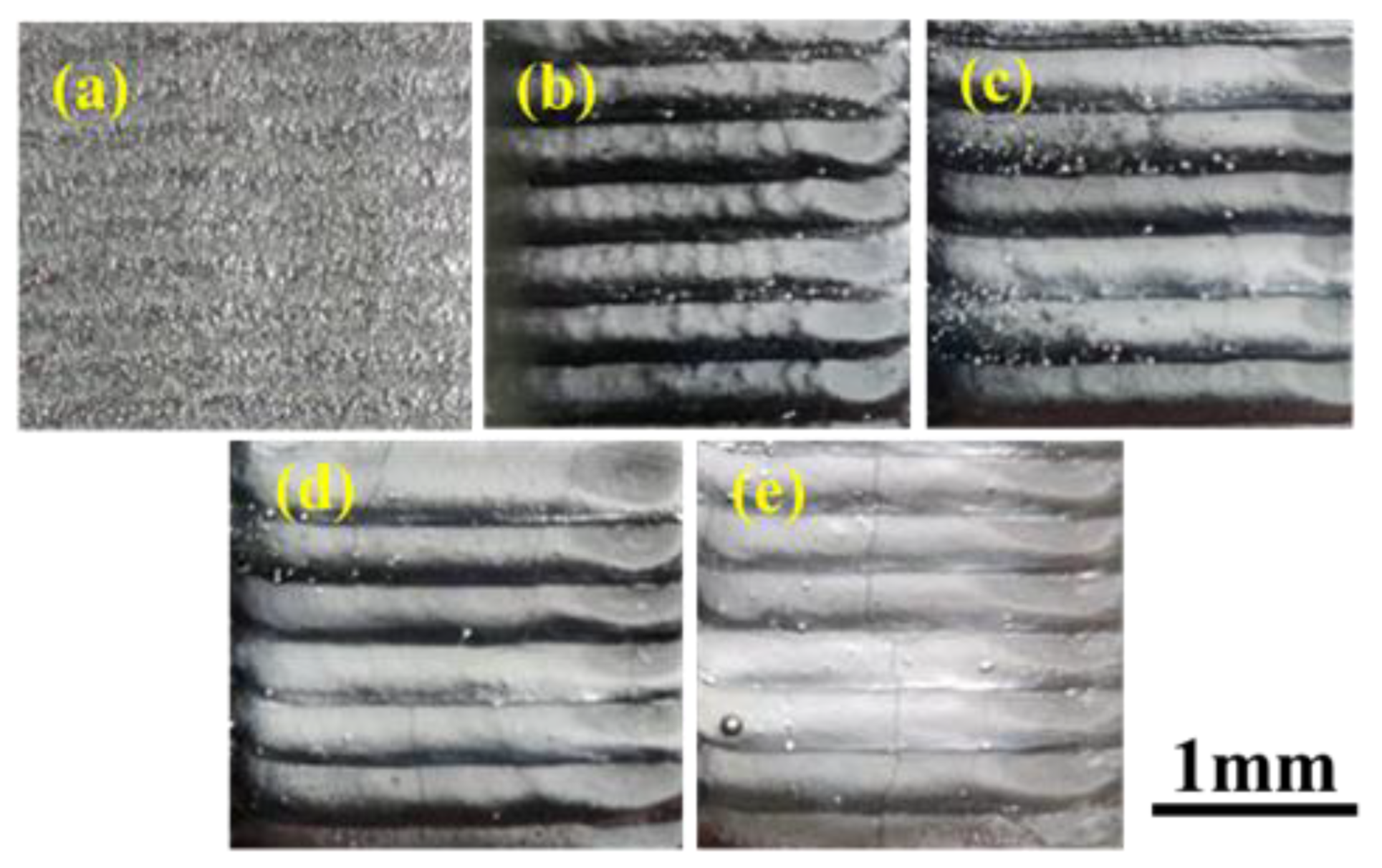 Coatings 13 01039 g005
