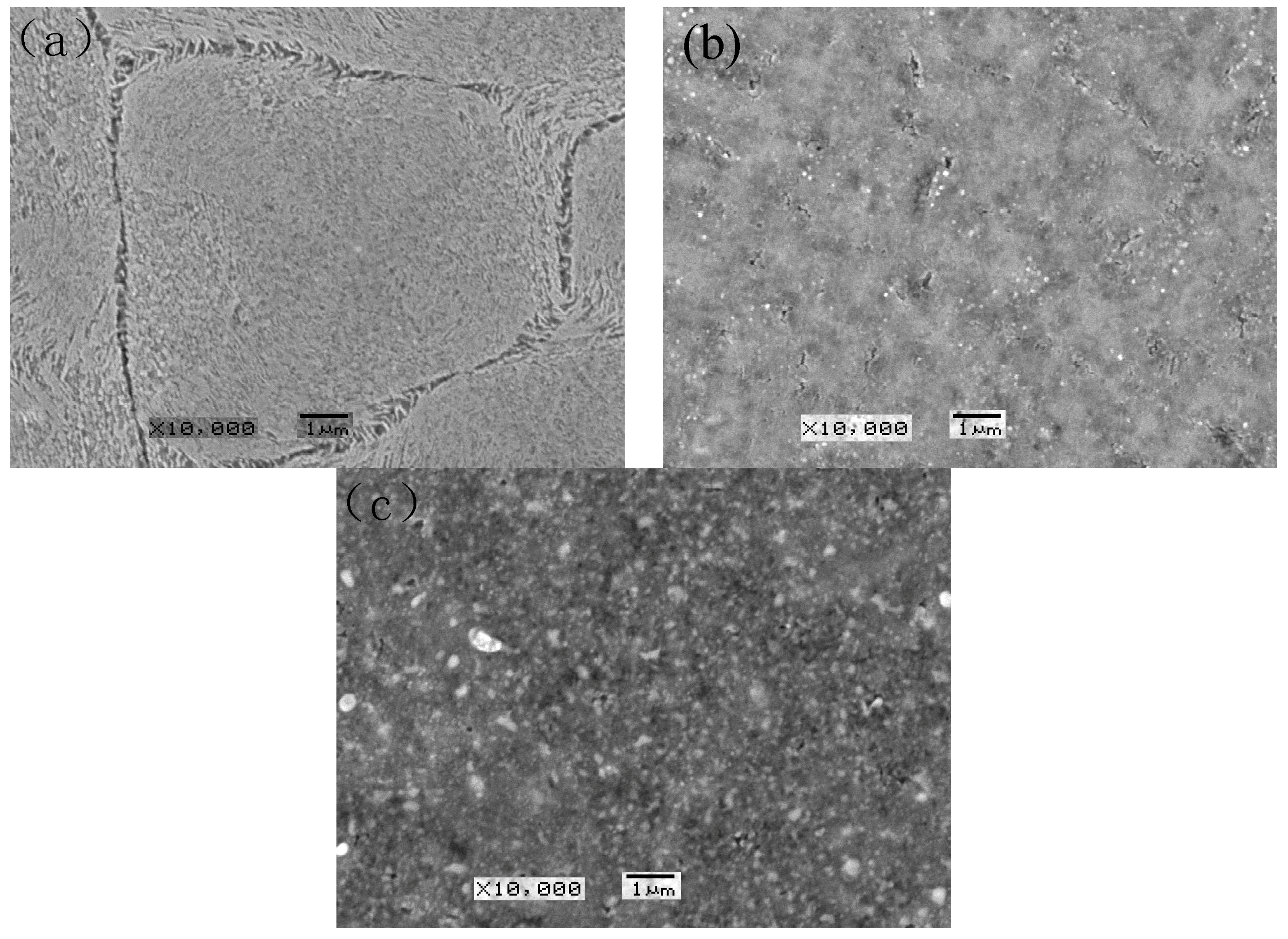 Coatings 13 01052 g001