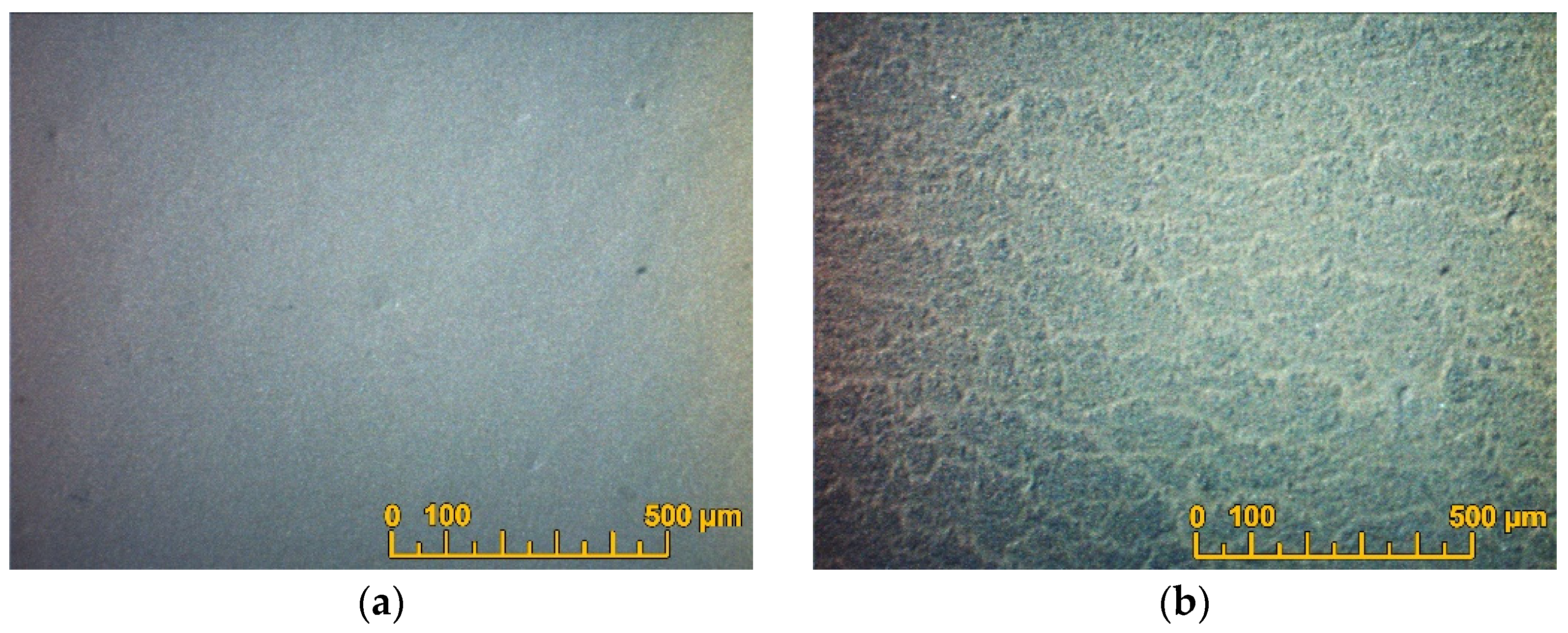 Coatings 13 01053 g004 Coatings 13 01053 g004