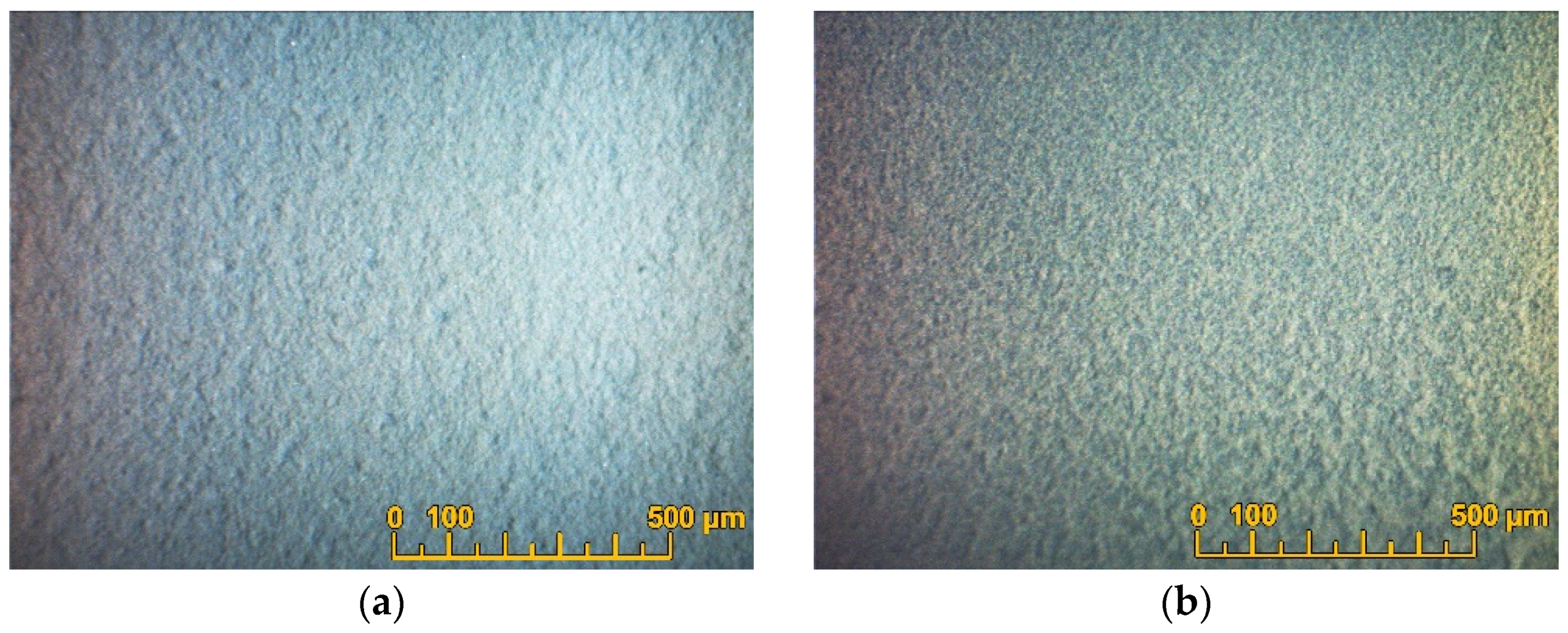 Coatings 13 01053 g006 Coatings 13 01053 g006