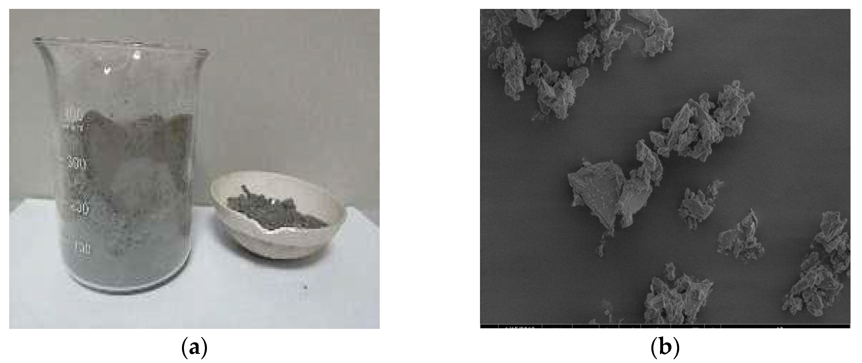 Coatings 13 01068 g003