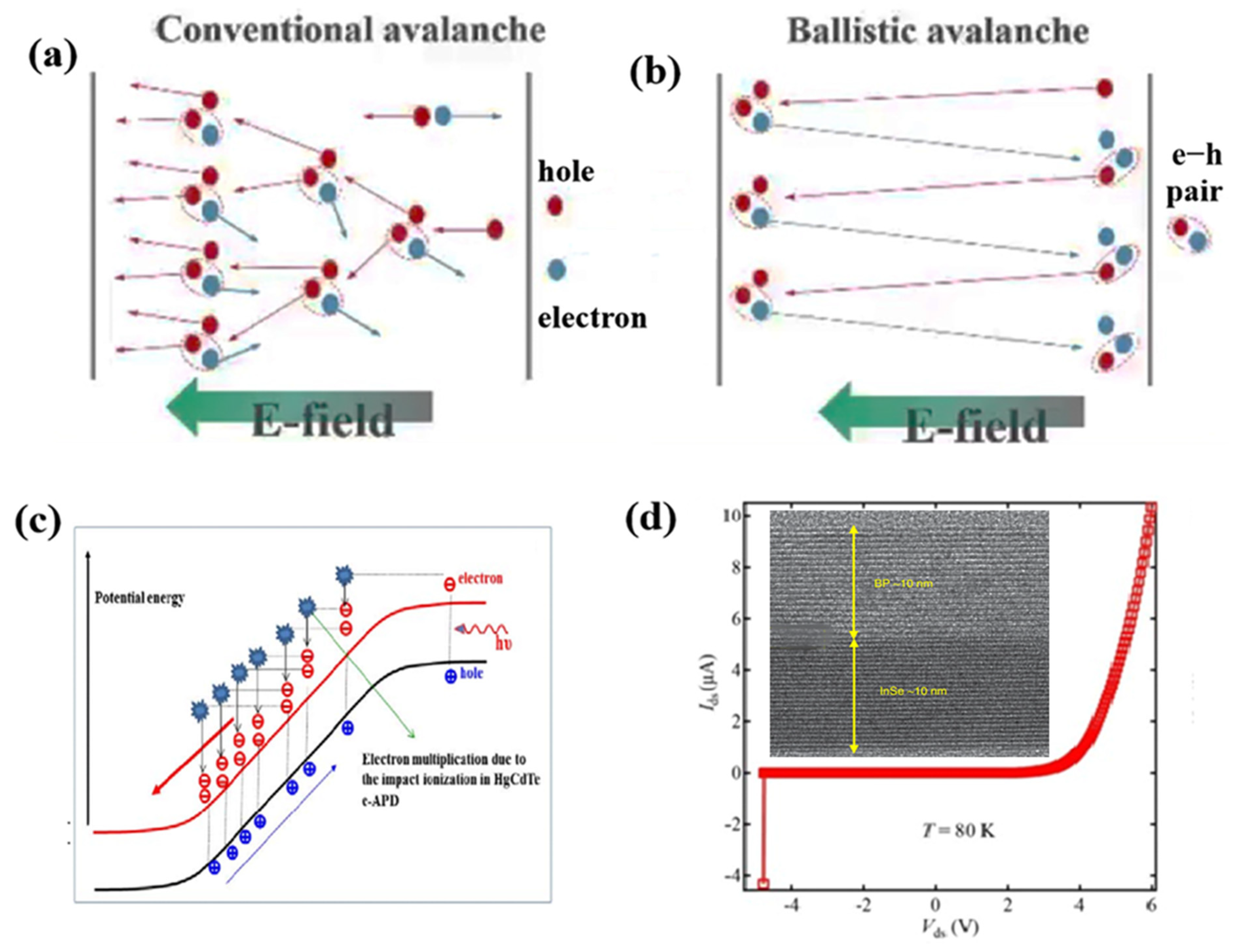 Coatings 13 01088 g002