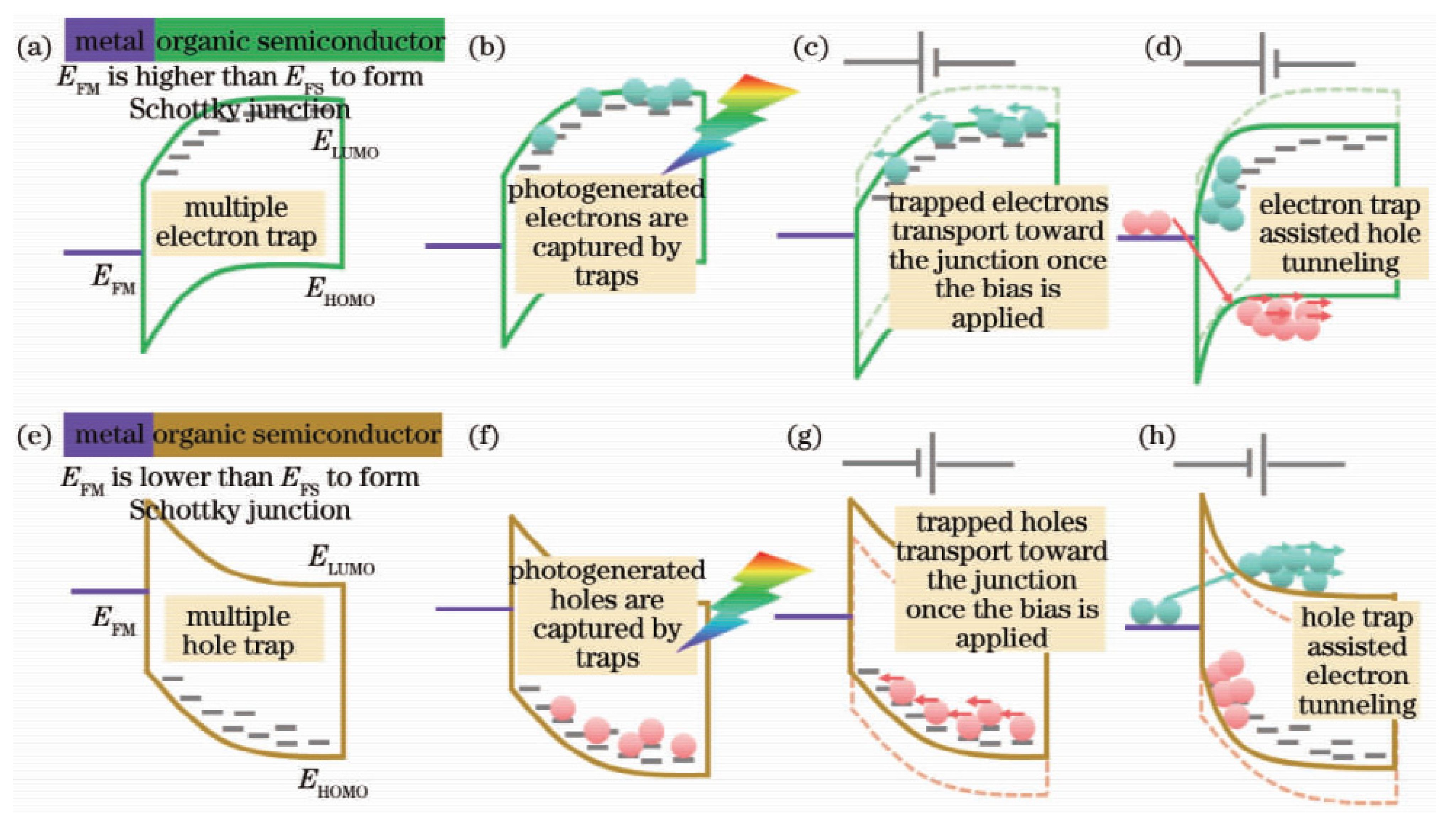 Coatings 13 01088 g003