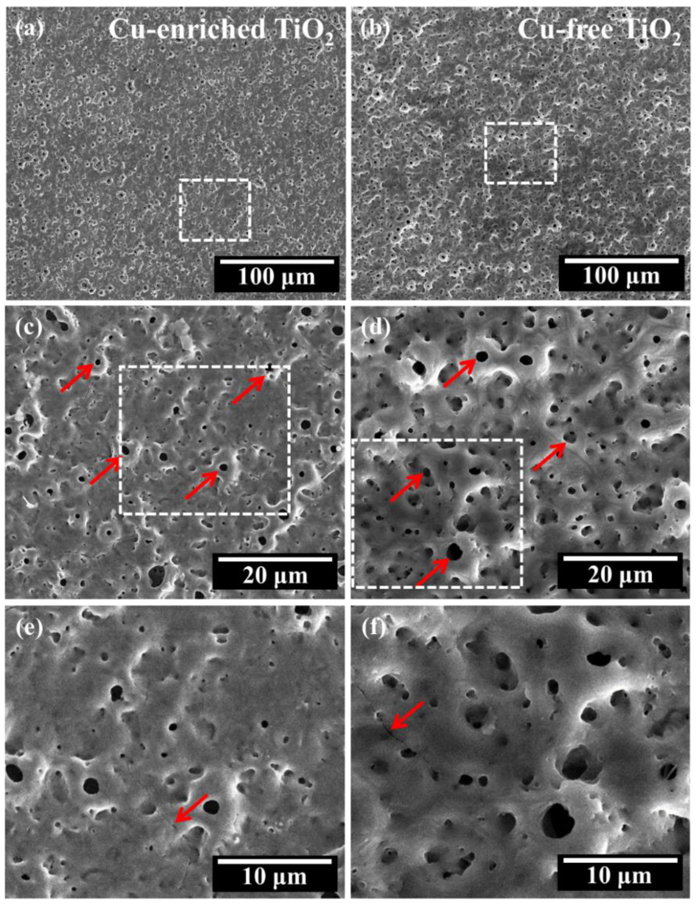 Coatings 13 01099 g002