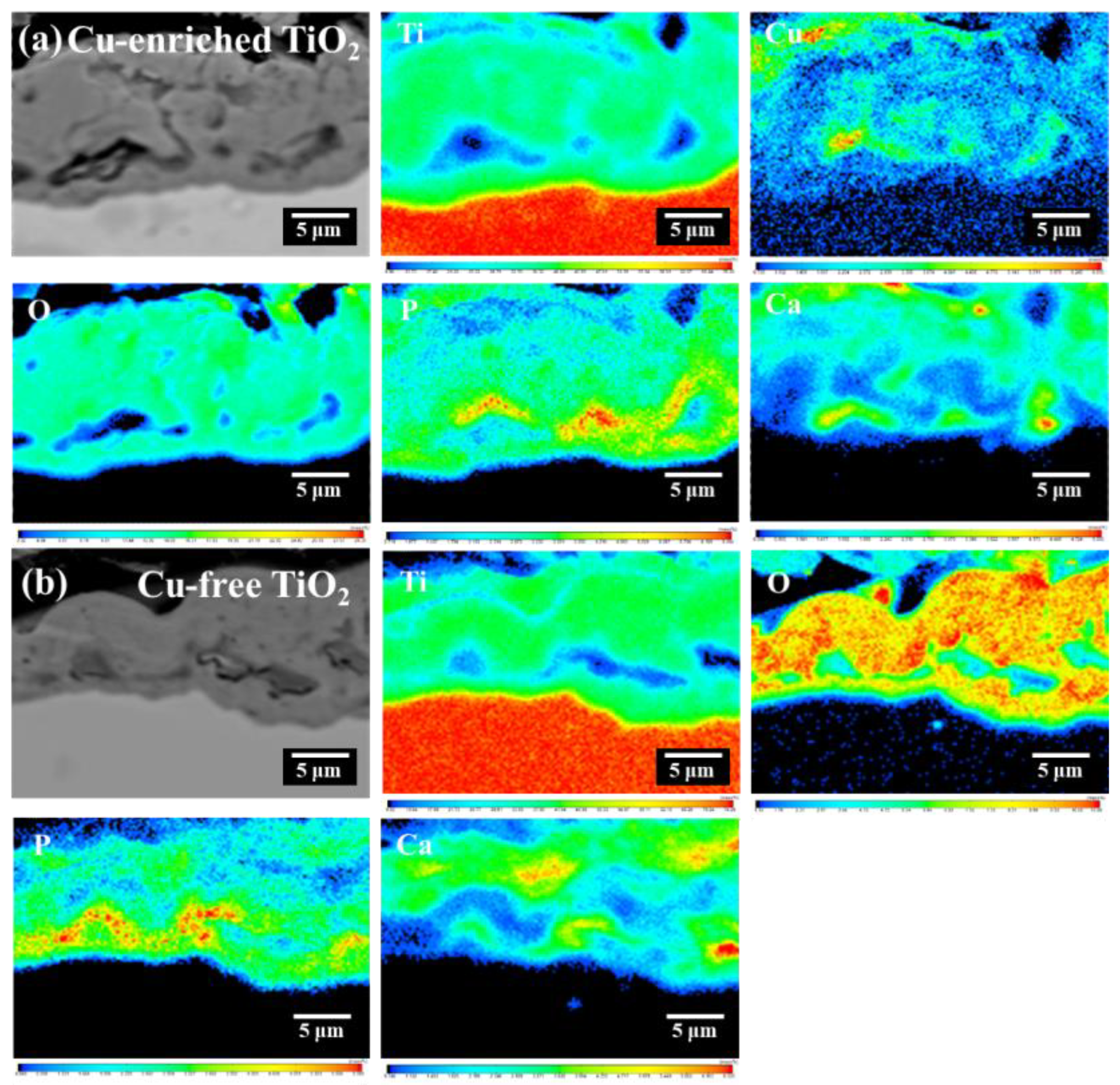 Coatings 13 01099 g005
