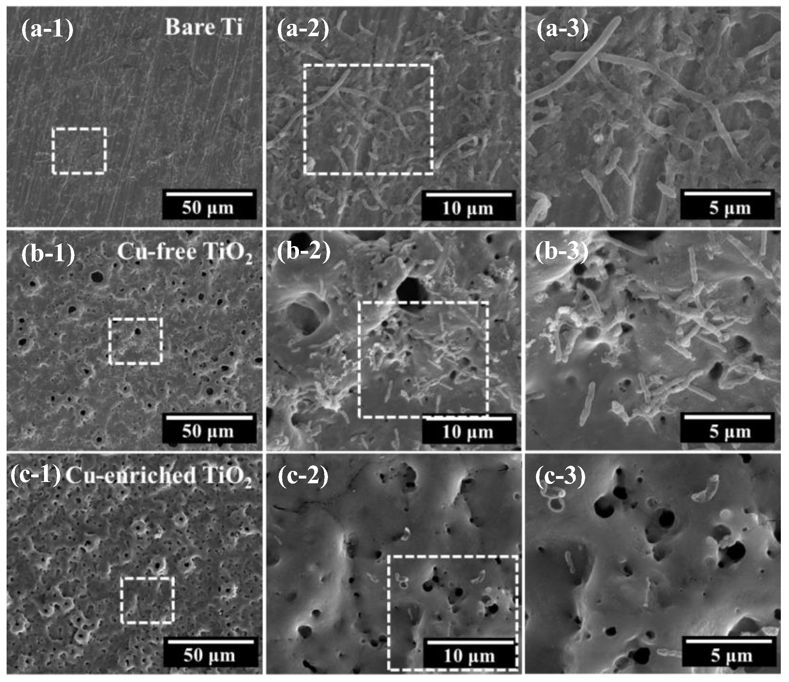 Coatings 13 01099 g010