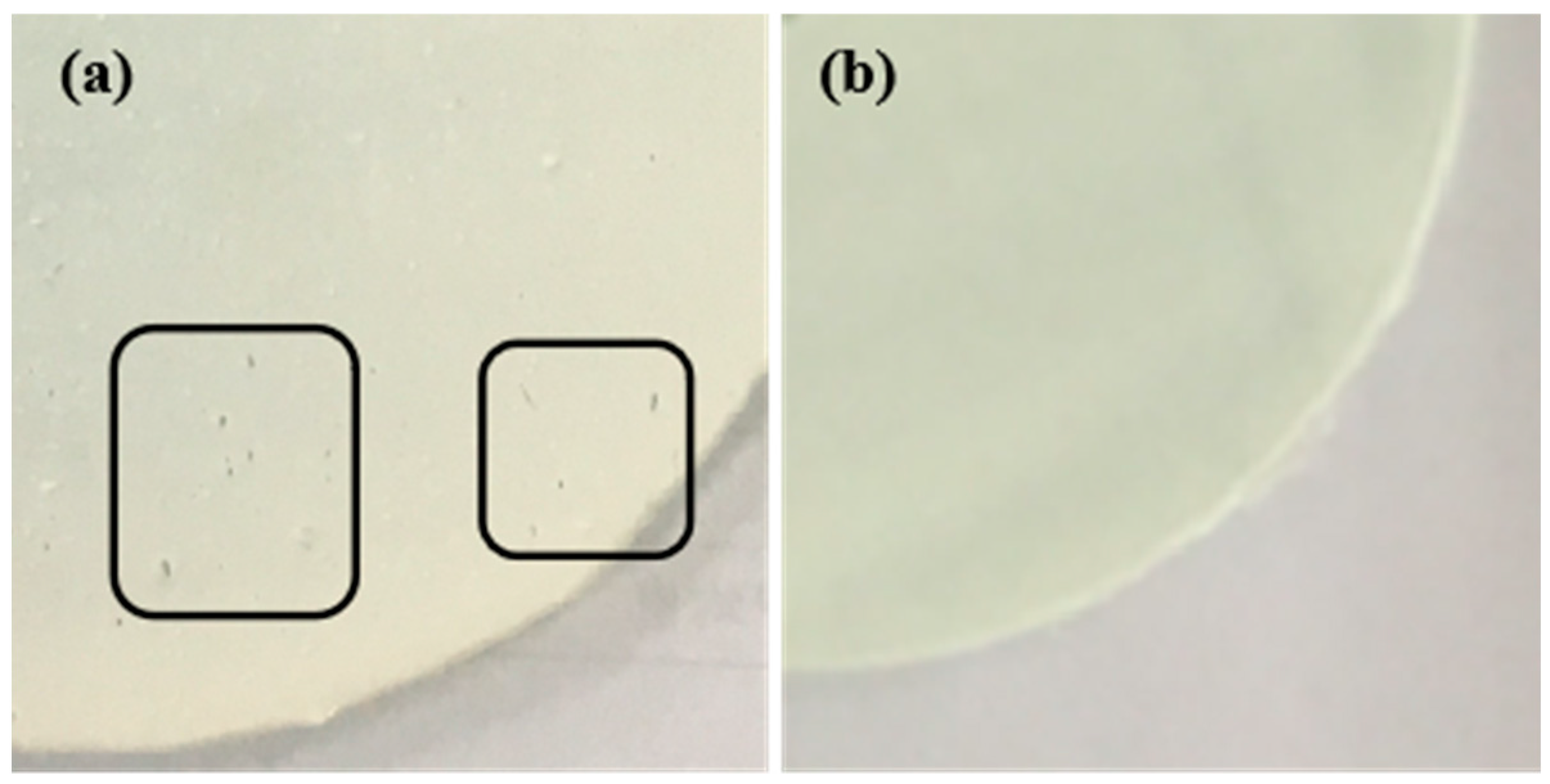 Coatings 13 01108 g014 Coatings 13 01108 g014