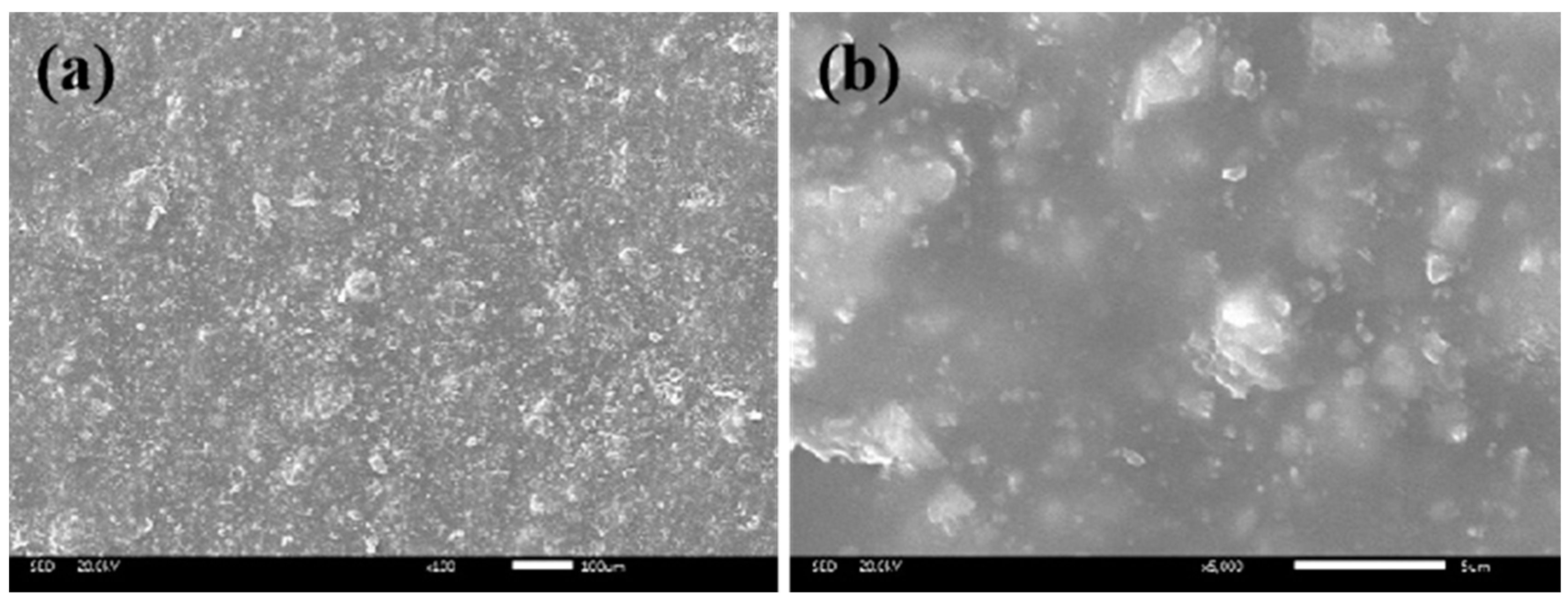 Coatings 13 01108 g020 Coatings 13 01108 g020