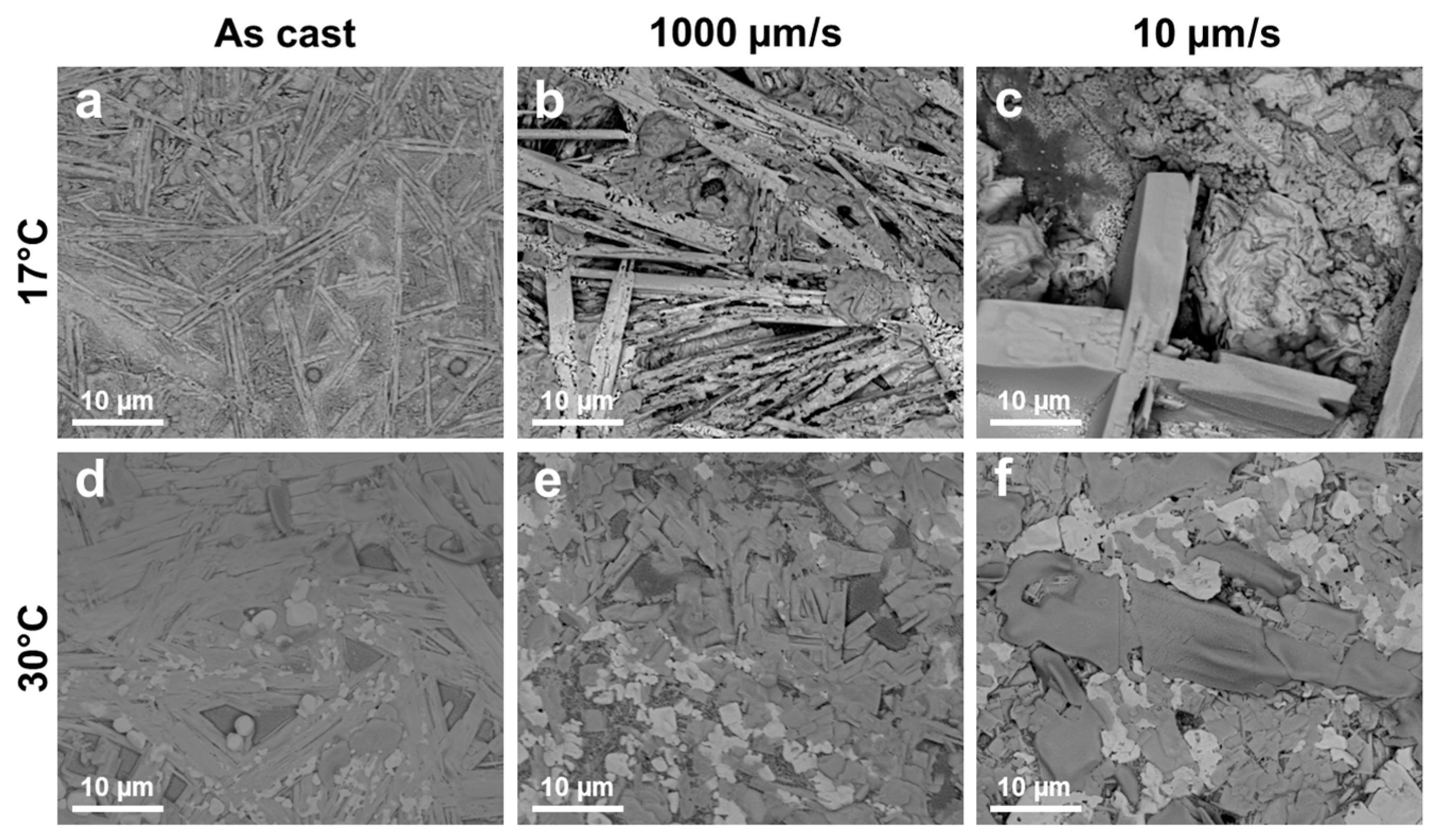 Coatings 13 01130 g003