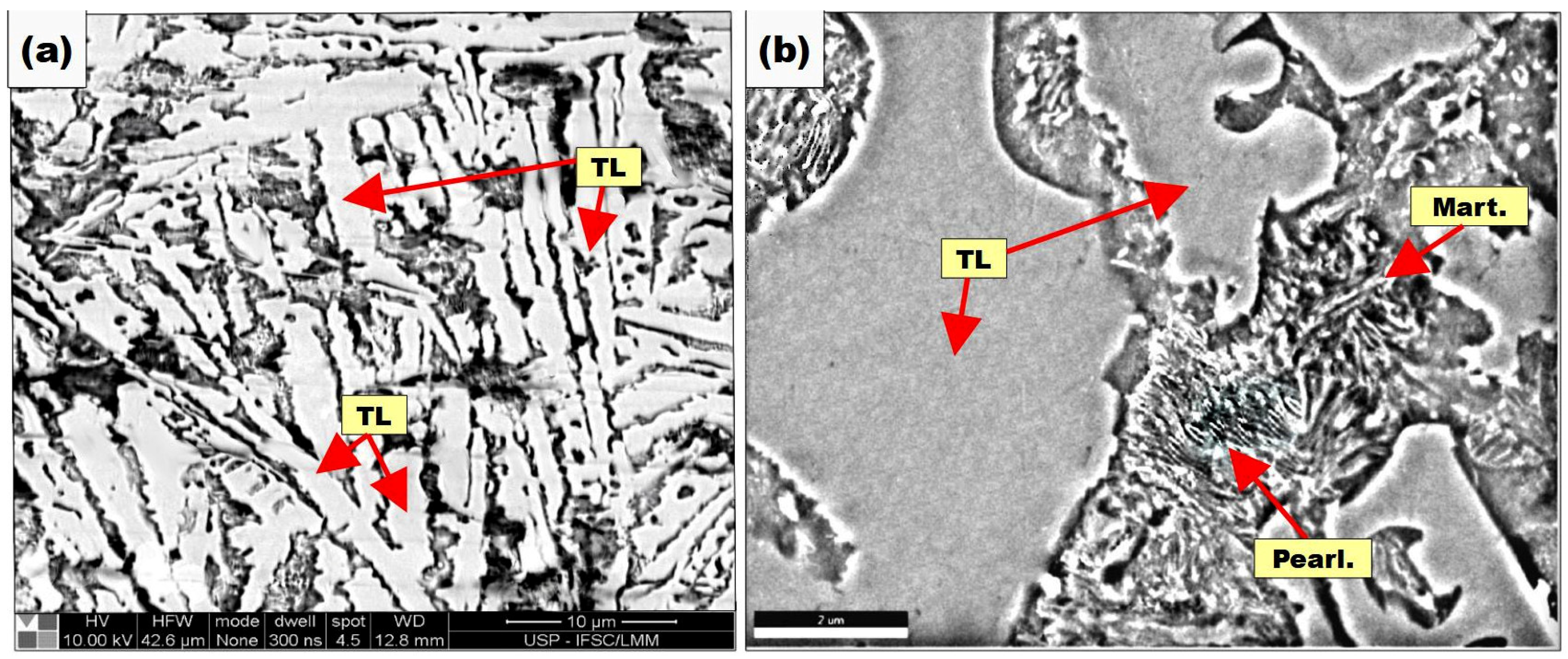 Coatings 13 01137 g011
