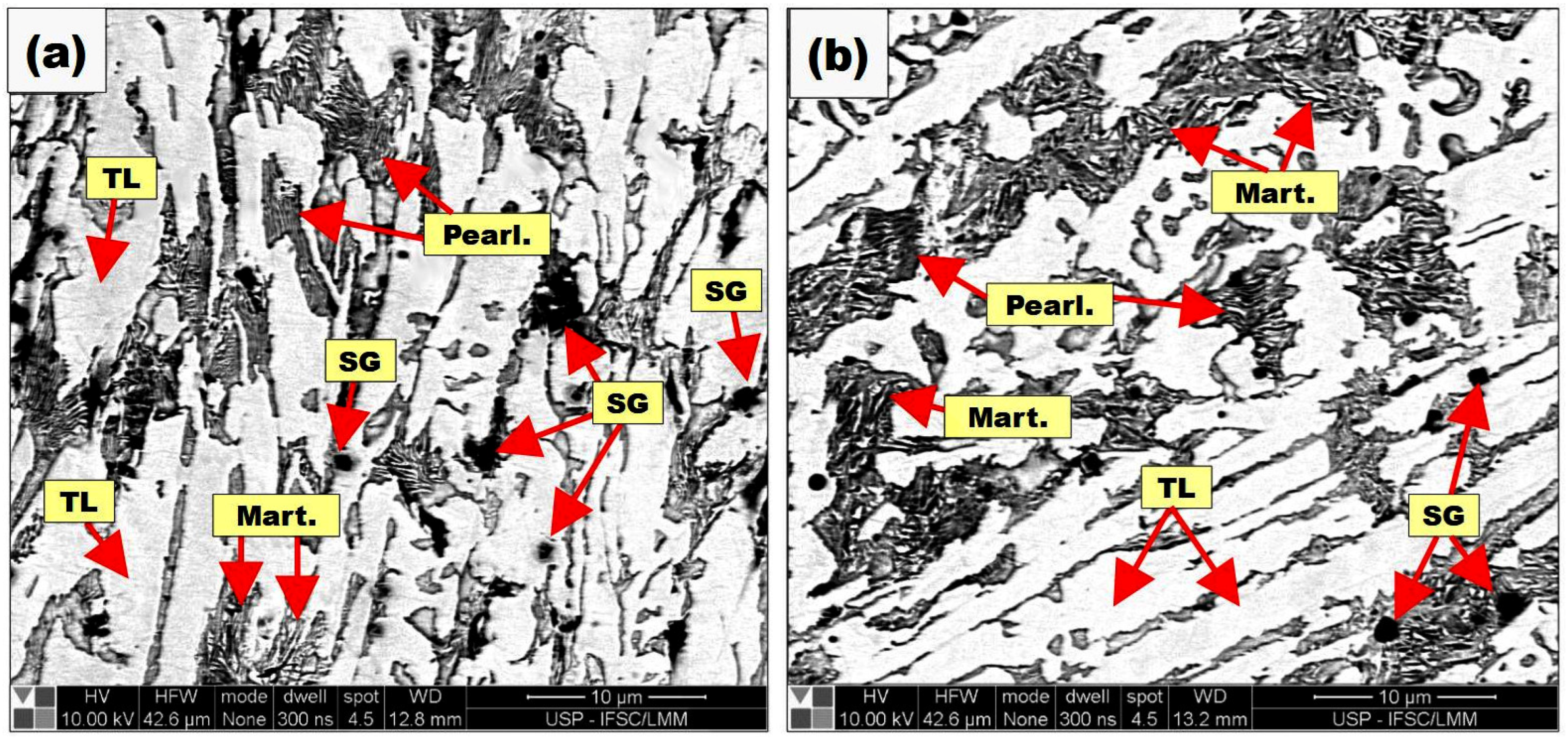 Coatings 13 01137 g012