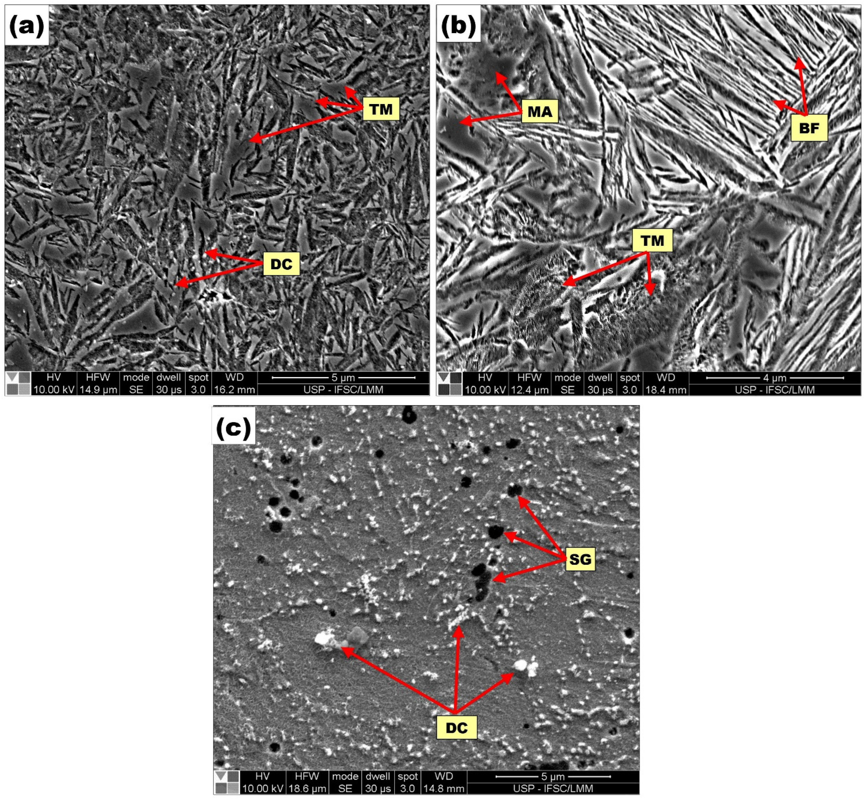 Coatings 13 01137 g015