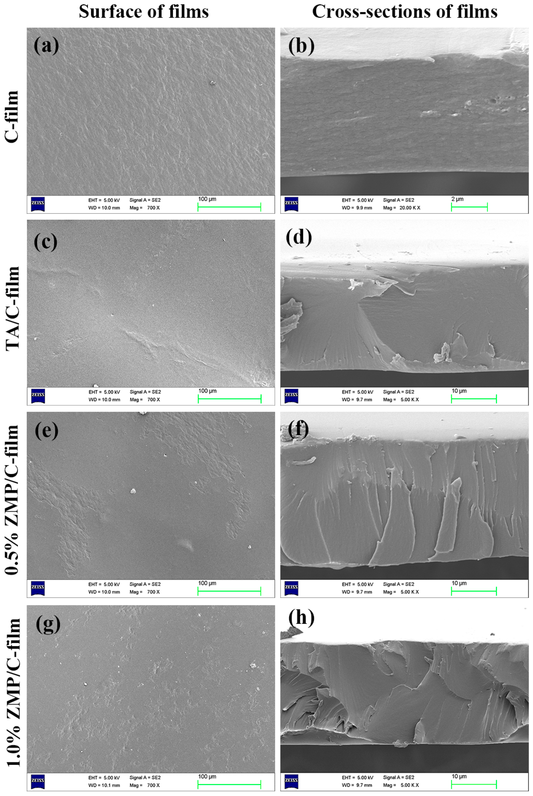 Coatings 13 01138 g003