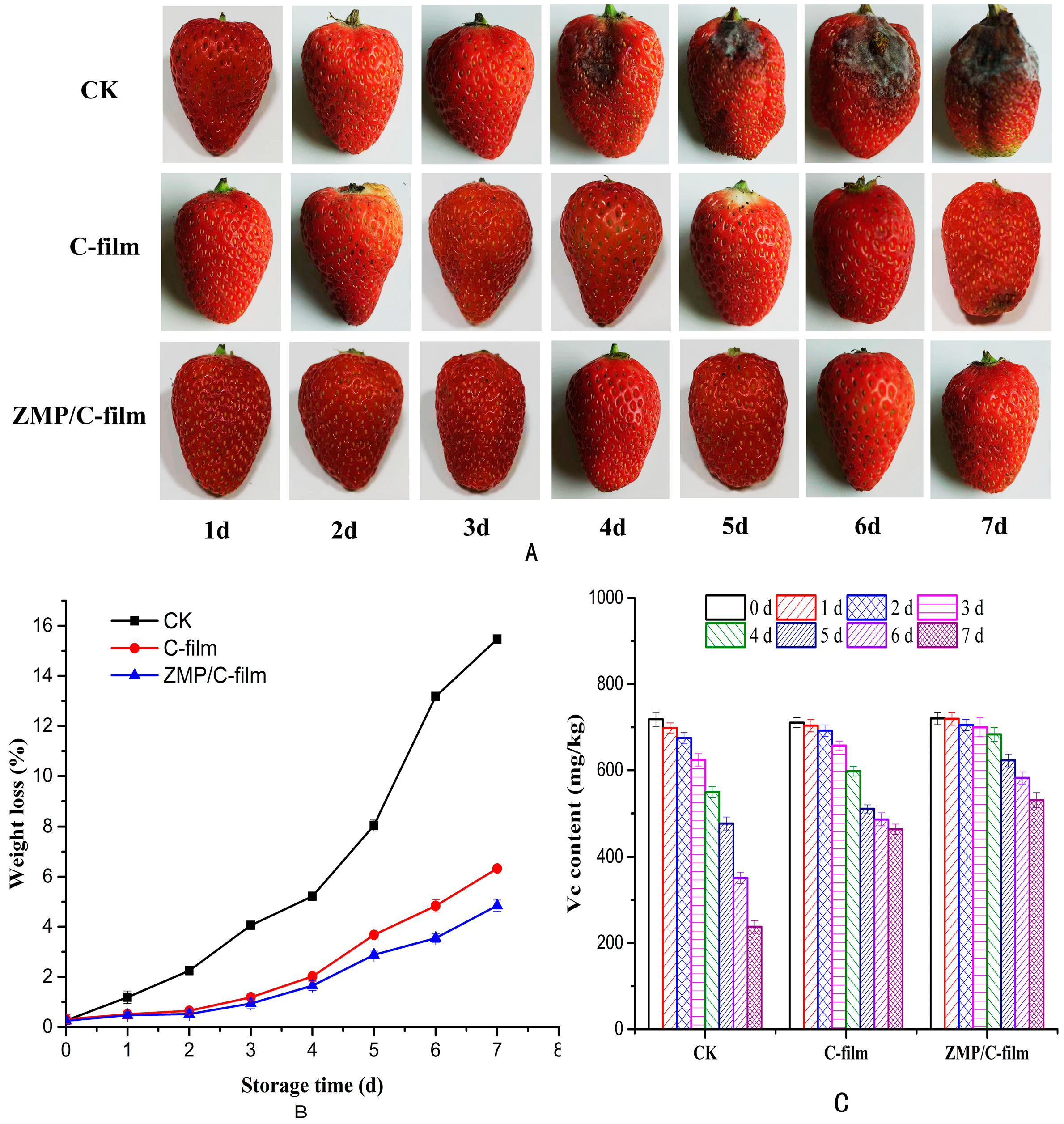 Coatings 13 01138 g009