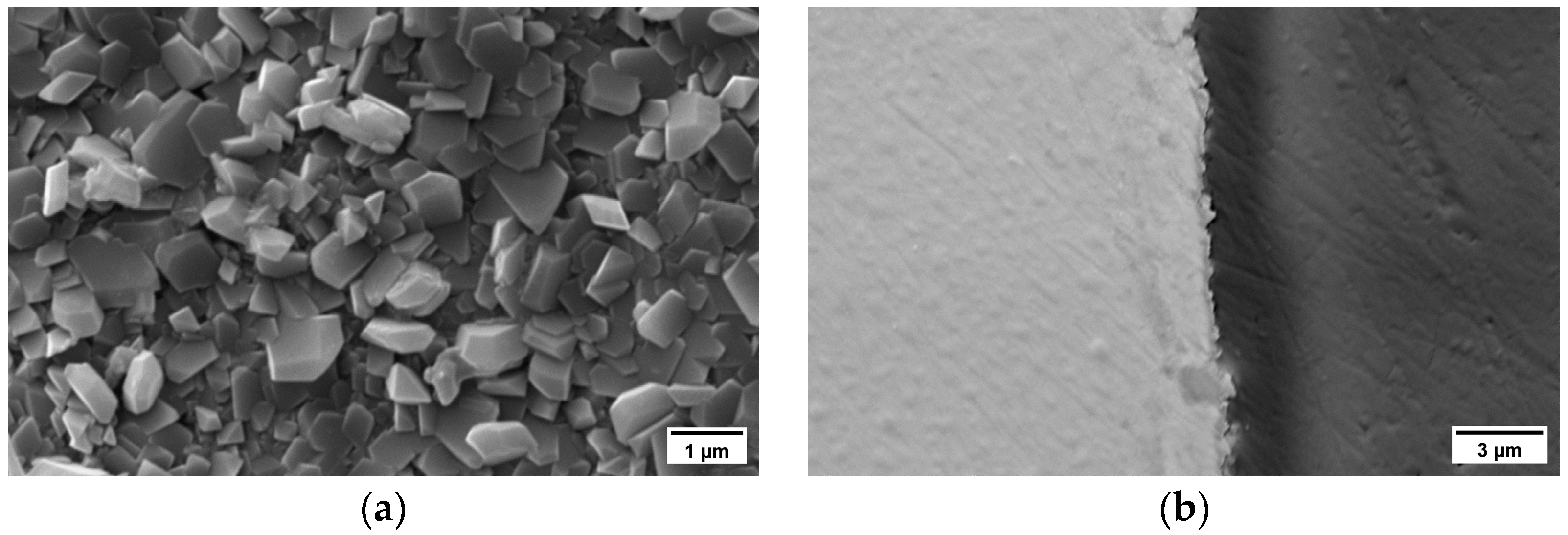 Coatings 13 01144 g002