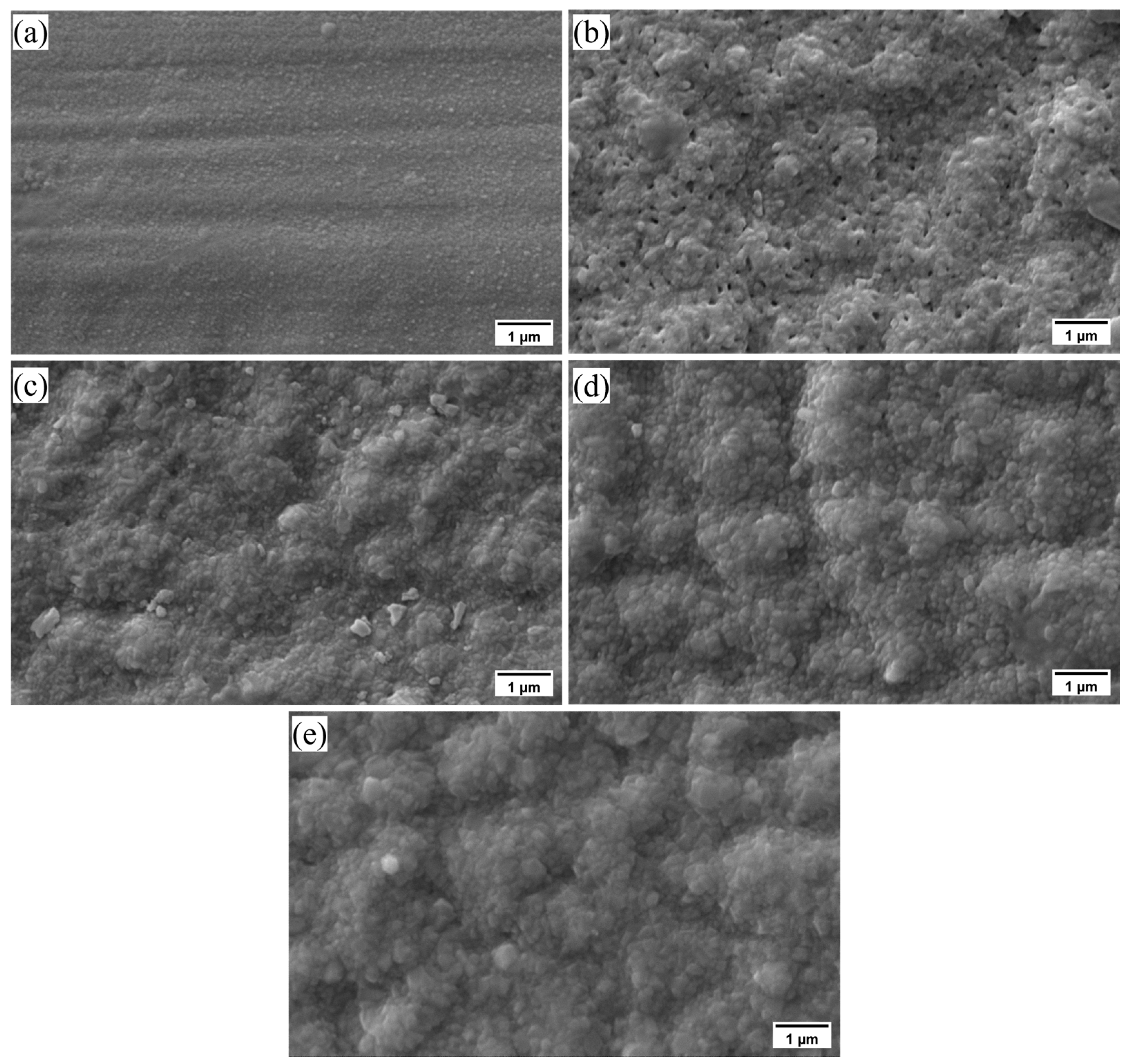 Coatings 13 01144 g005