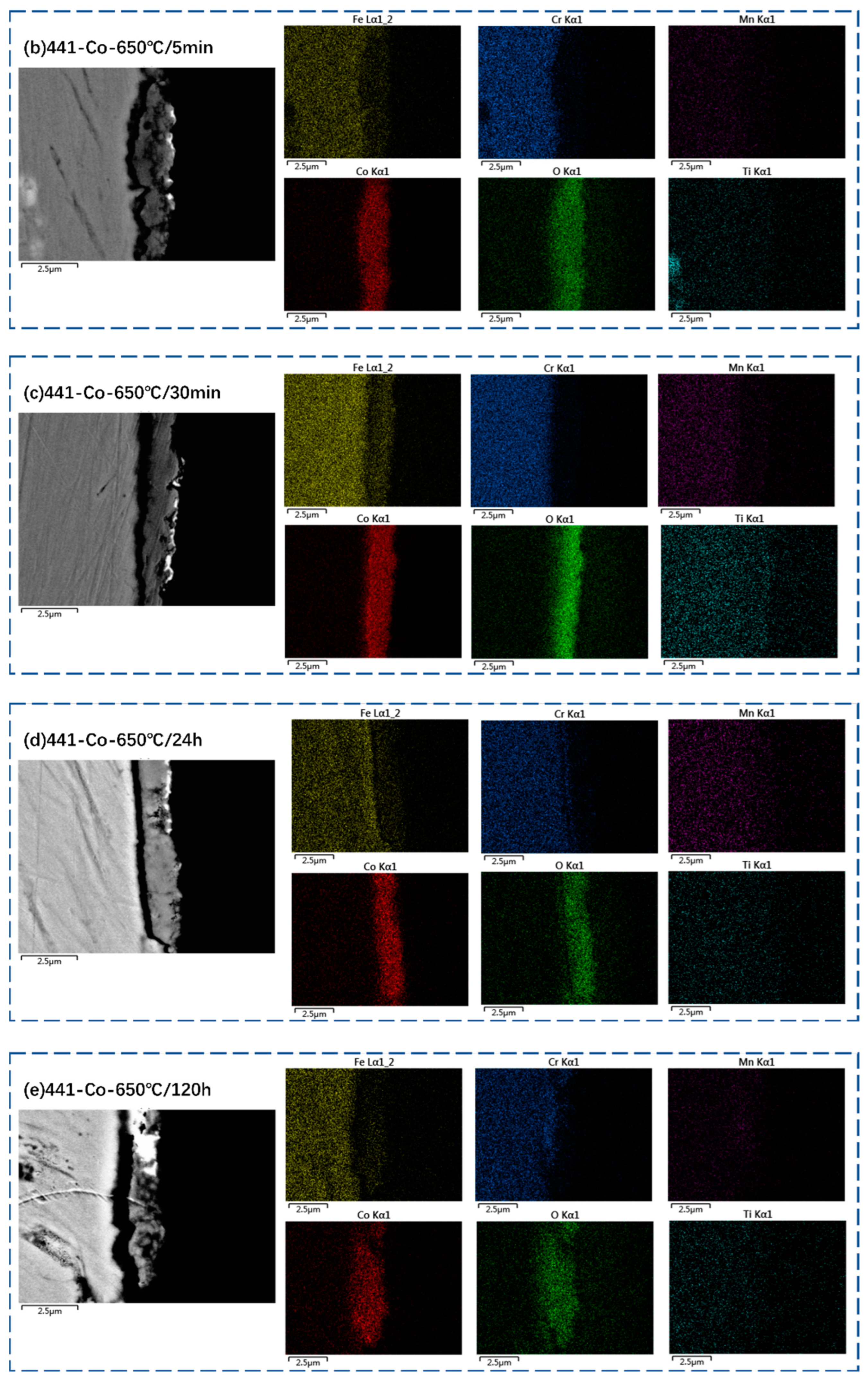 Coatings 13 01144 g007b