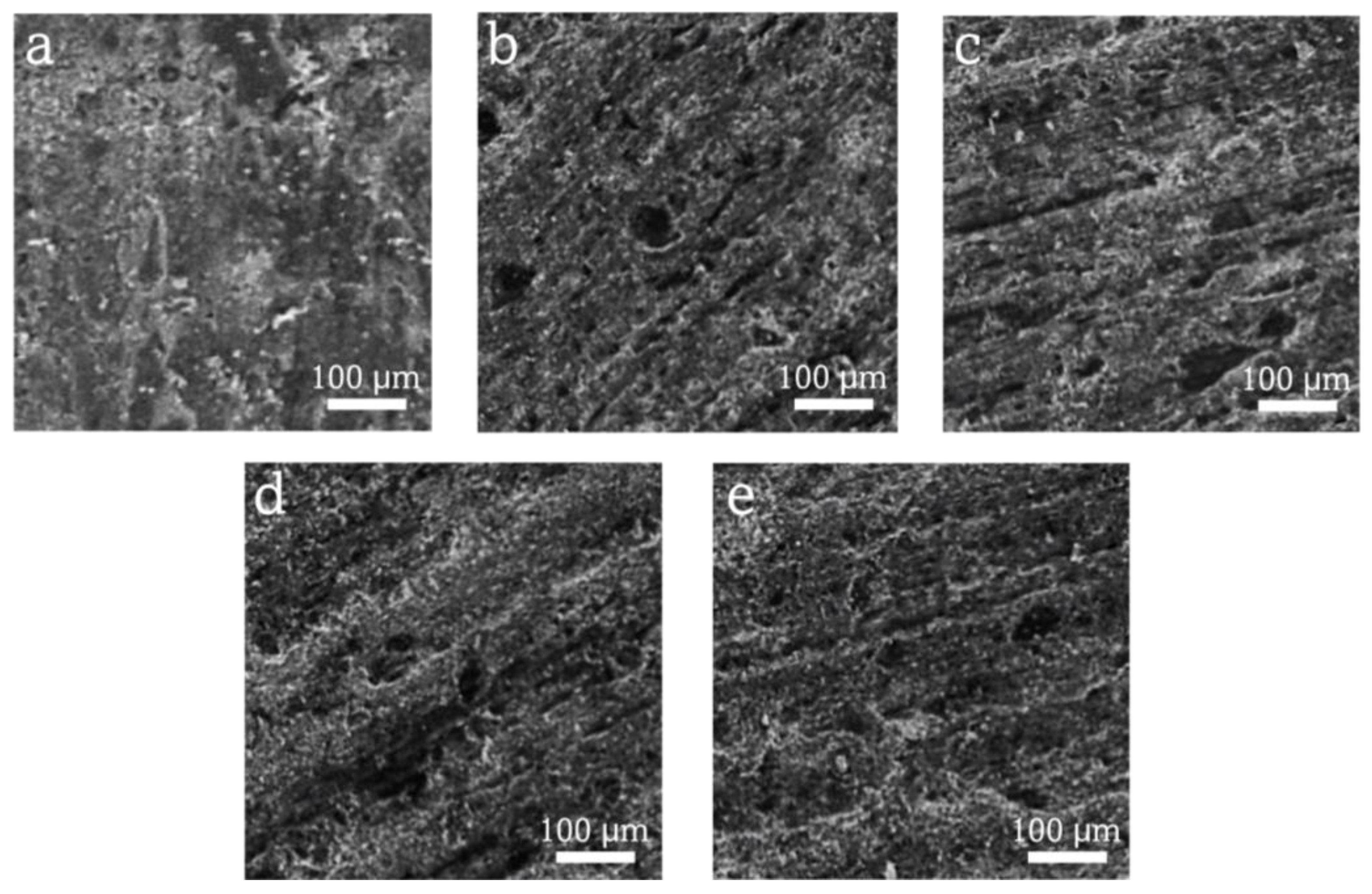 Coatings 13 01147 g006