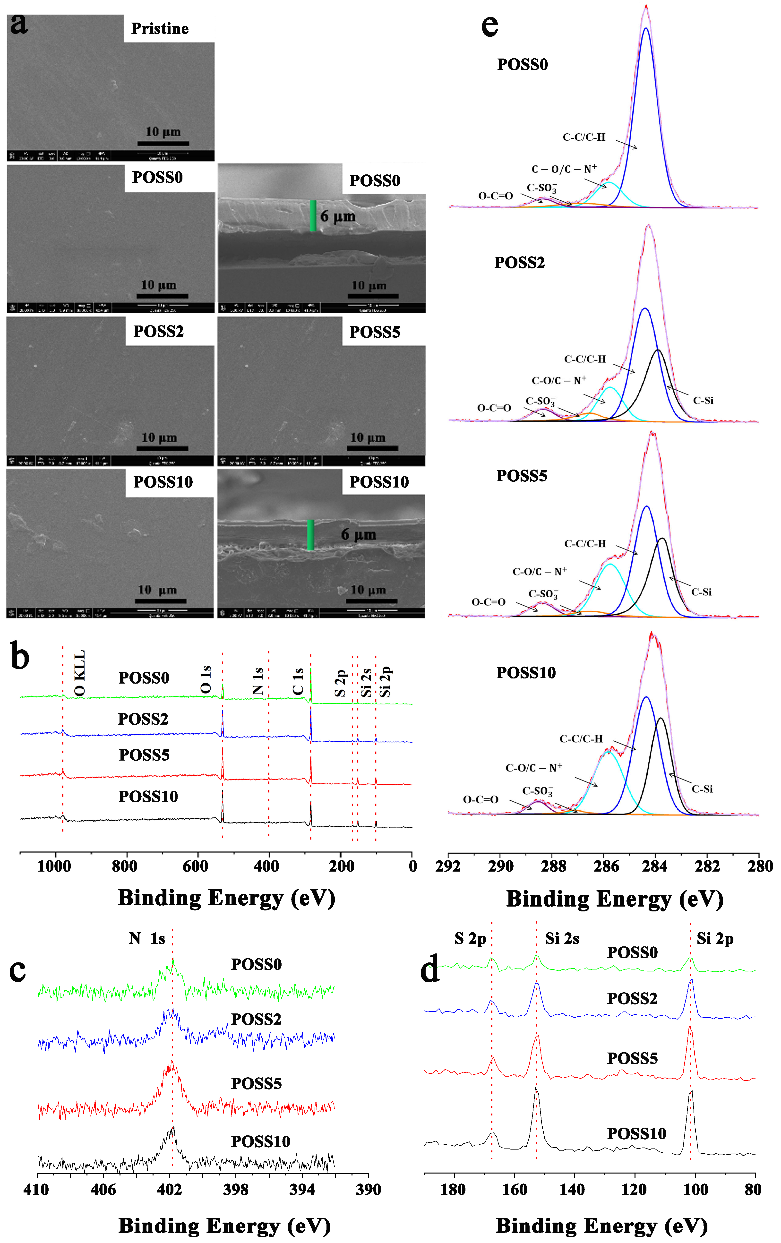 Coatings 13 01152 g003