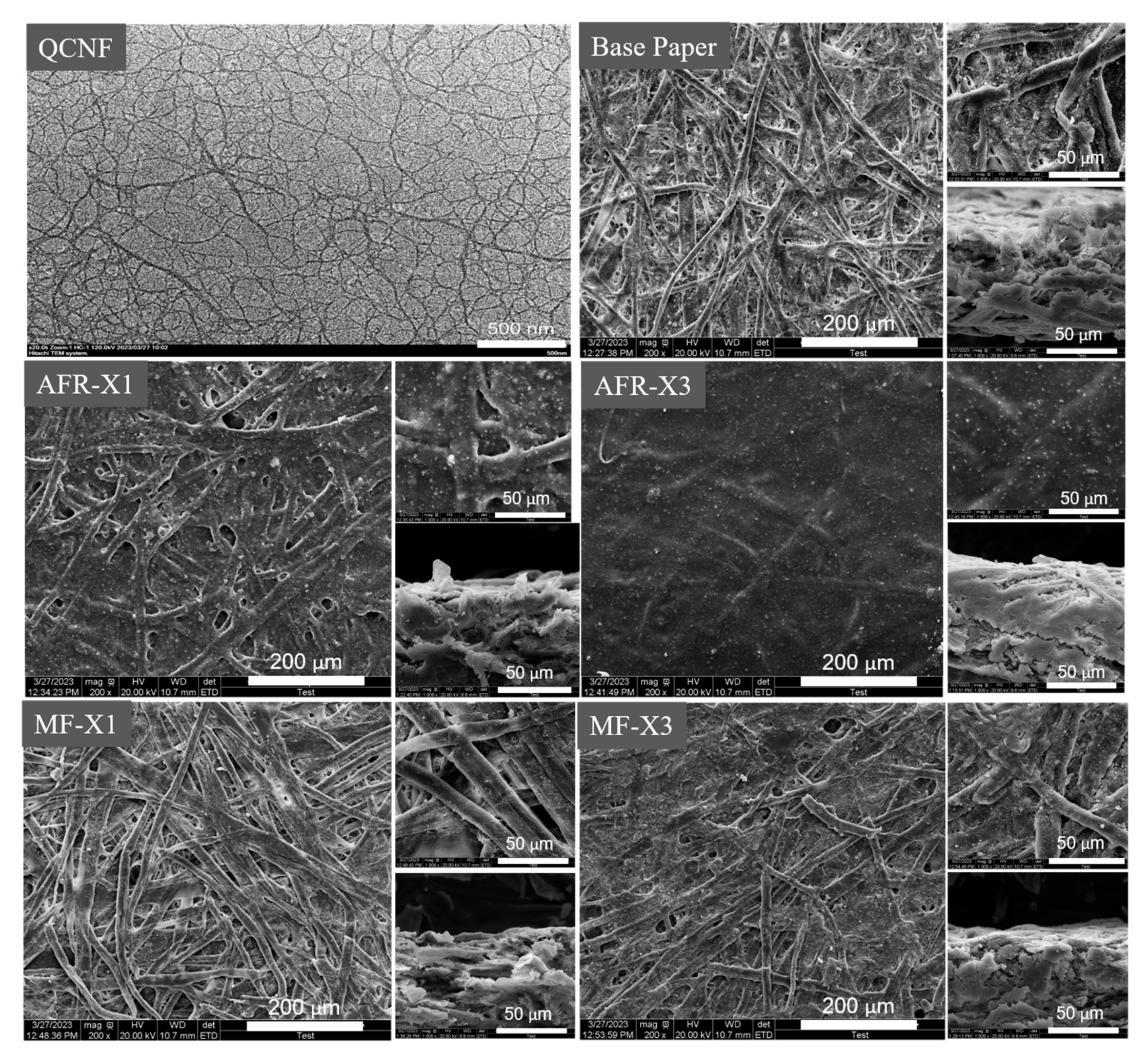 Coatings 13 01168 g006 Coatings 13 01168 g006