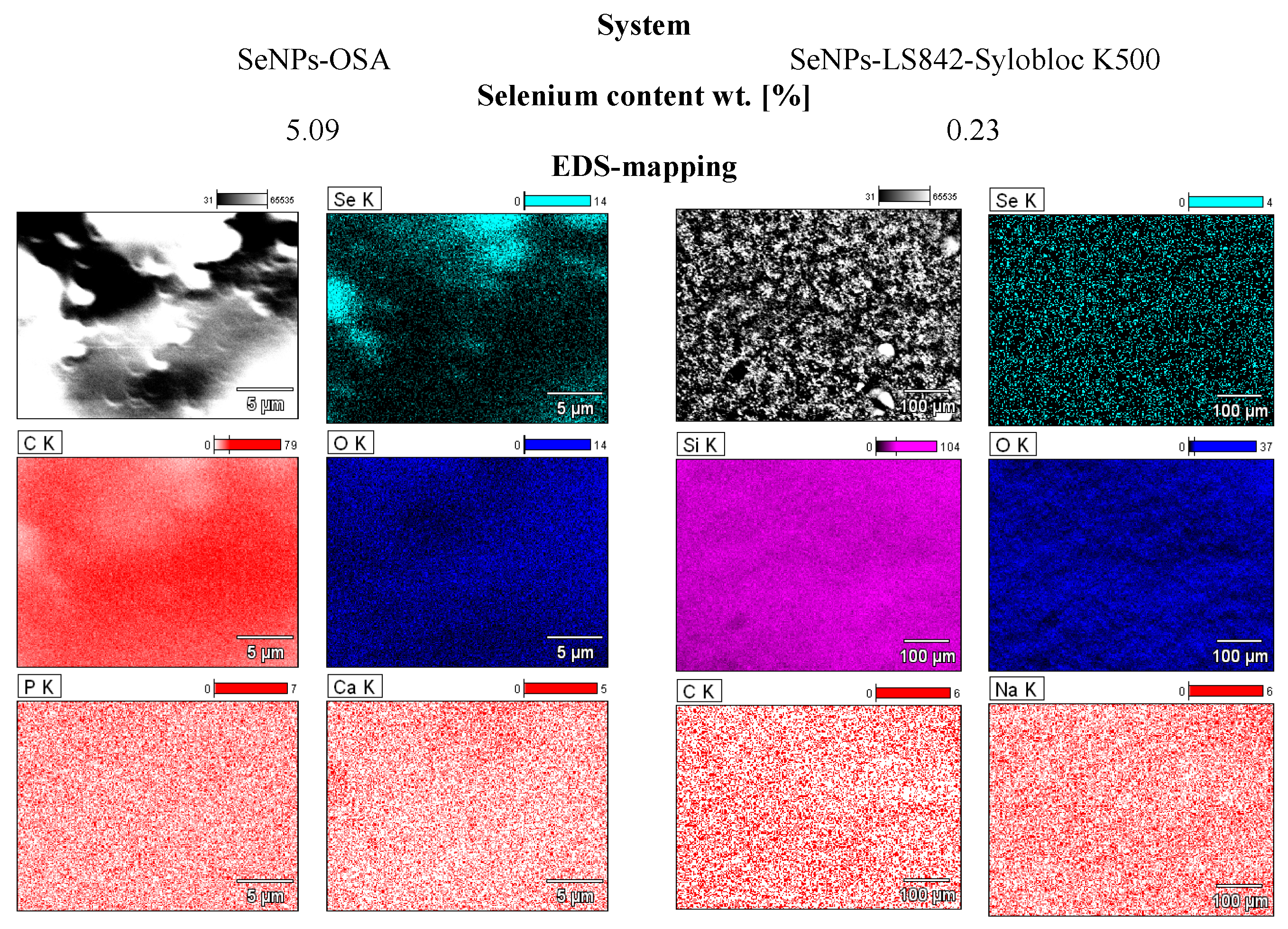 Coatings 13 01185 g001