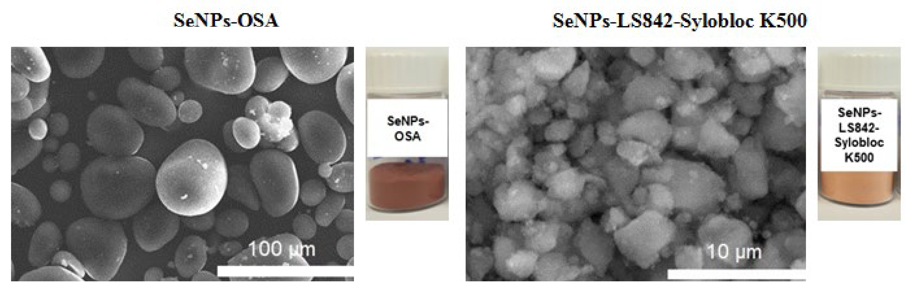 Coatings 13 01185 g002