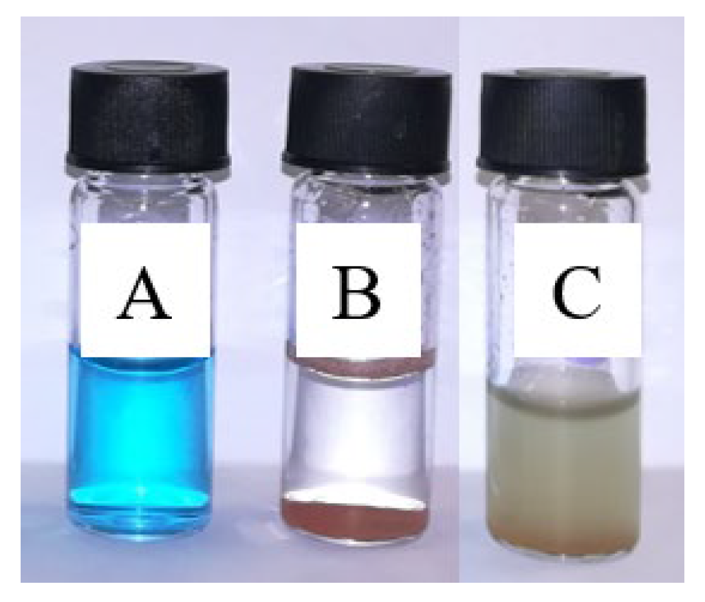 Coatings 13 01185 g004