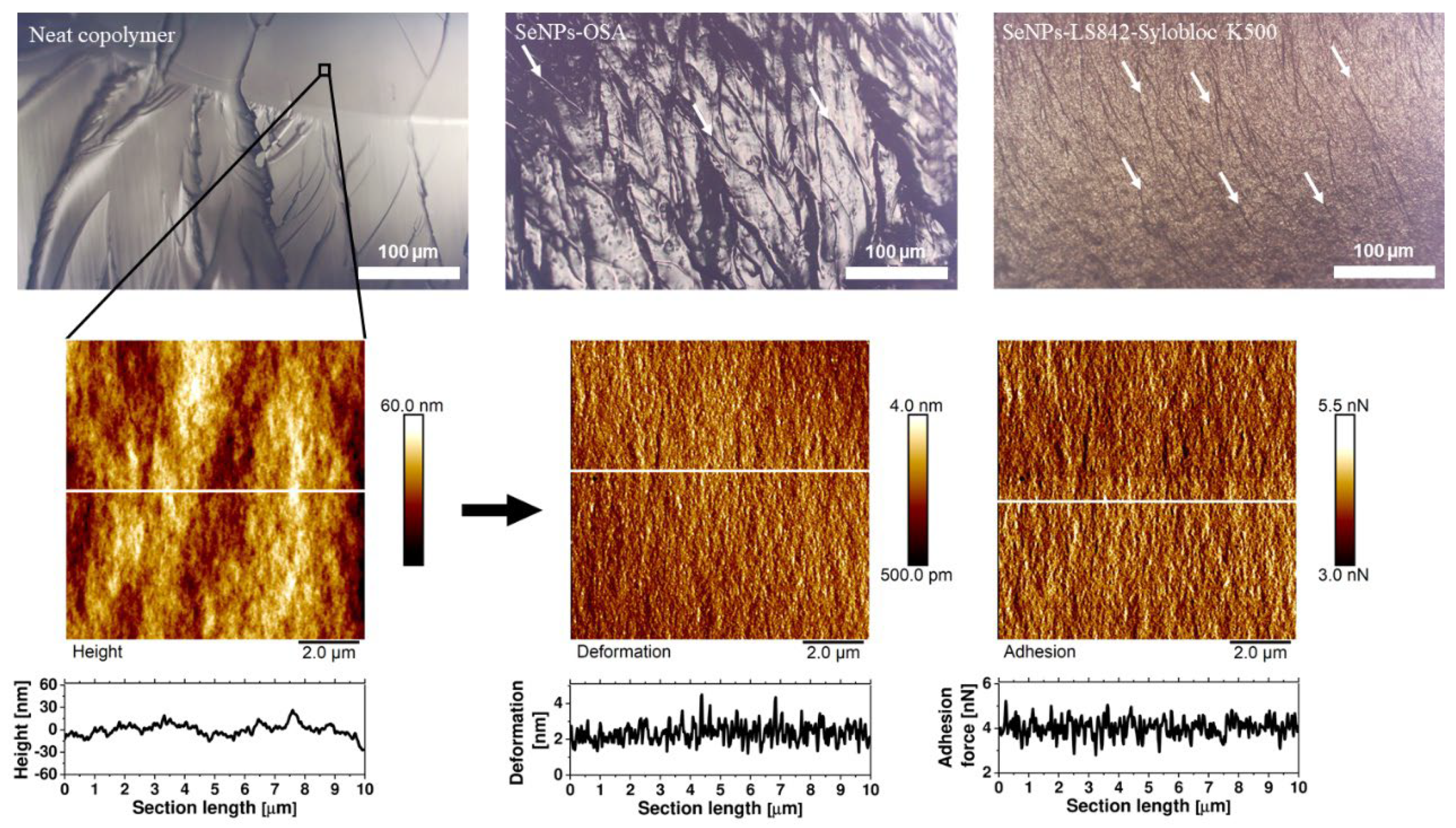Coatings 13 01185 g007