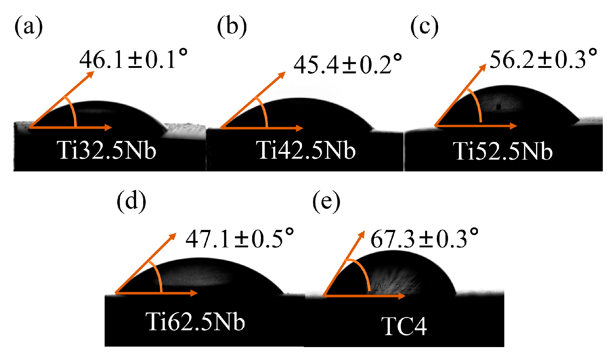 Coatings 13 01186 g011