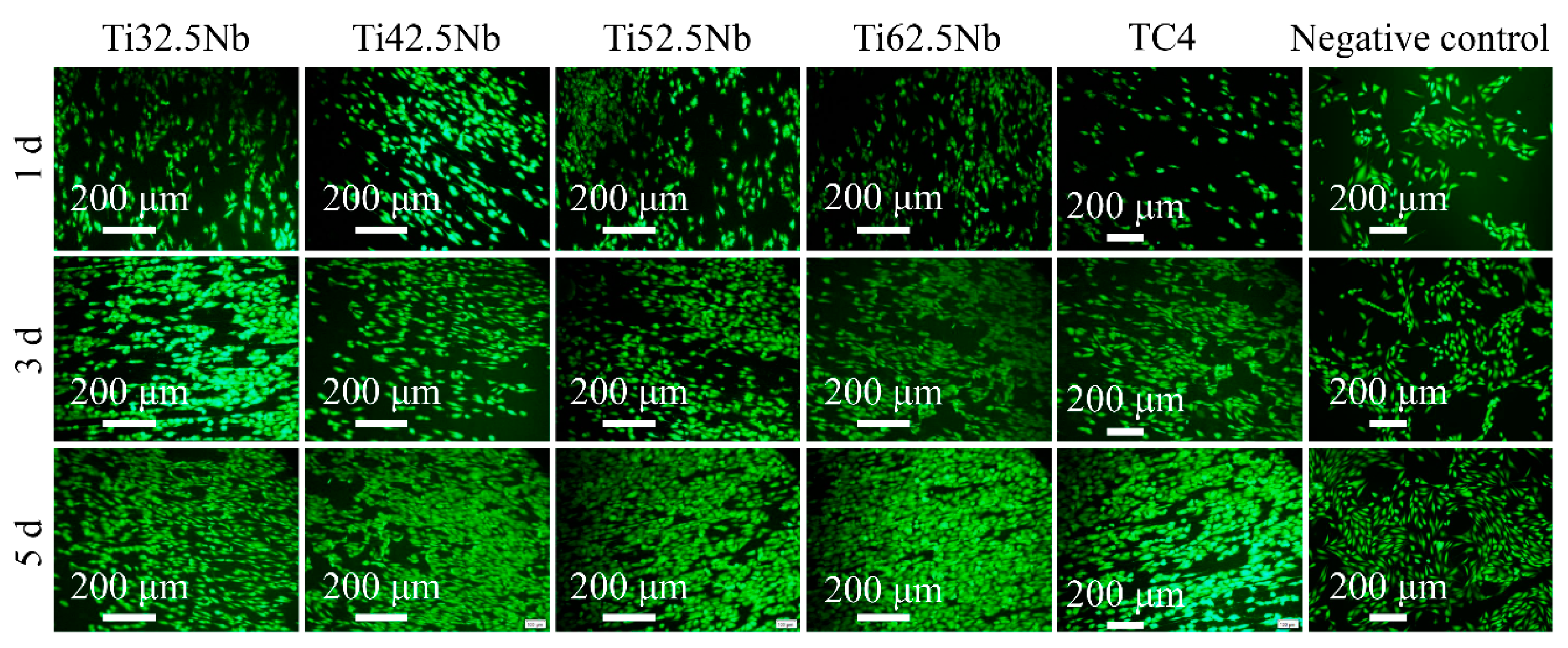 Coatings 13 01186 g012